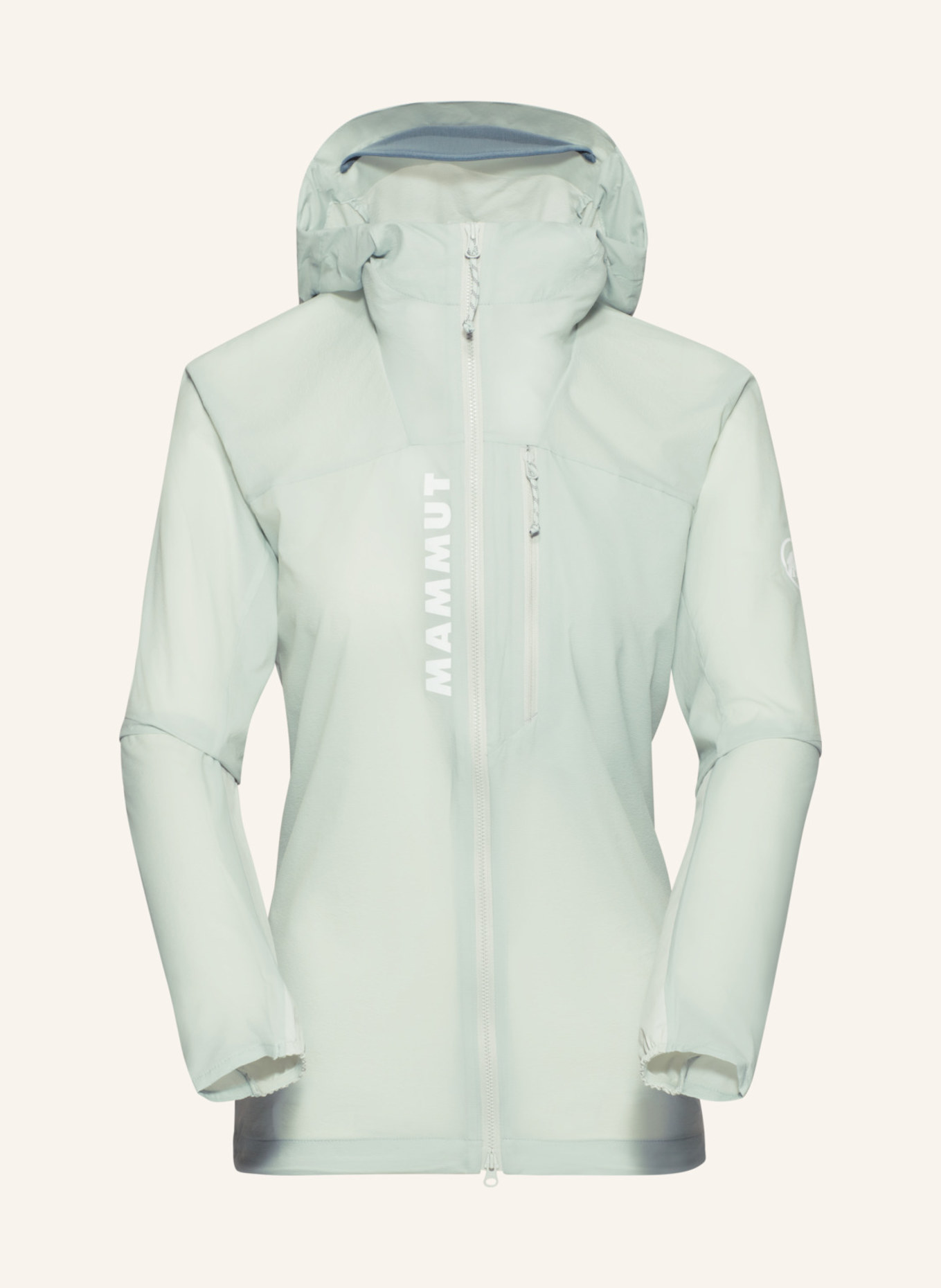 MAMMUT Aenergy WB Hooded Jacket Women: GRÜN
