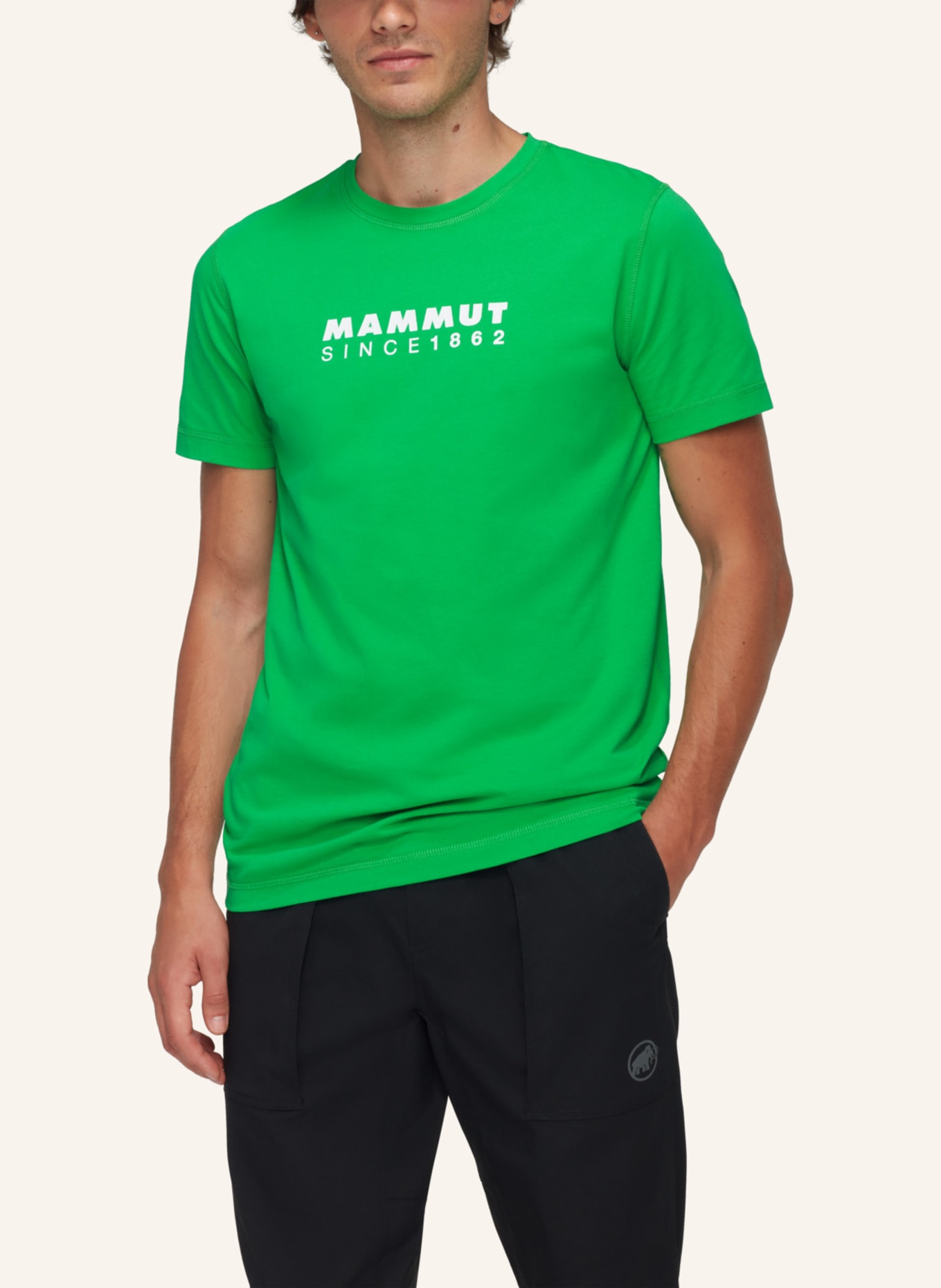 MAMMUT T-Shirt CORE LOGO: GRÜN