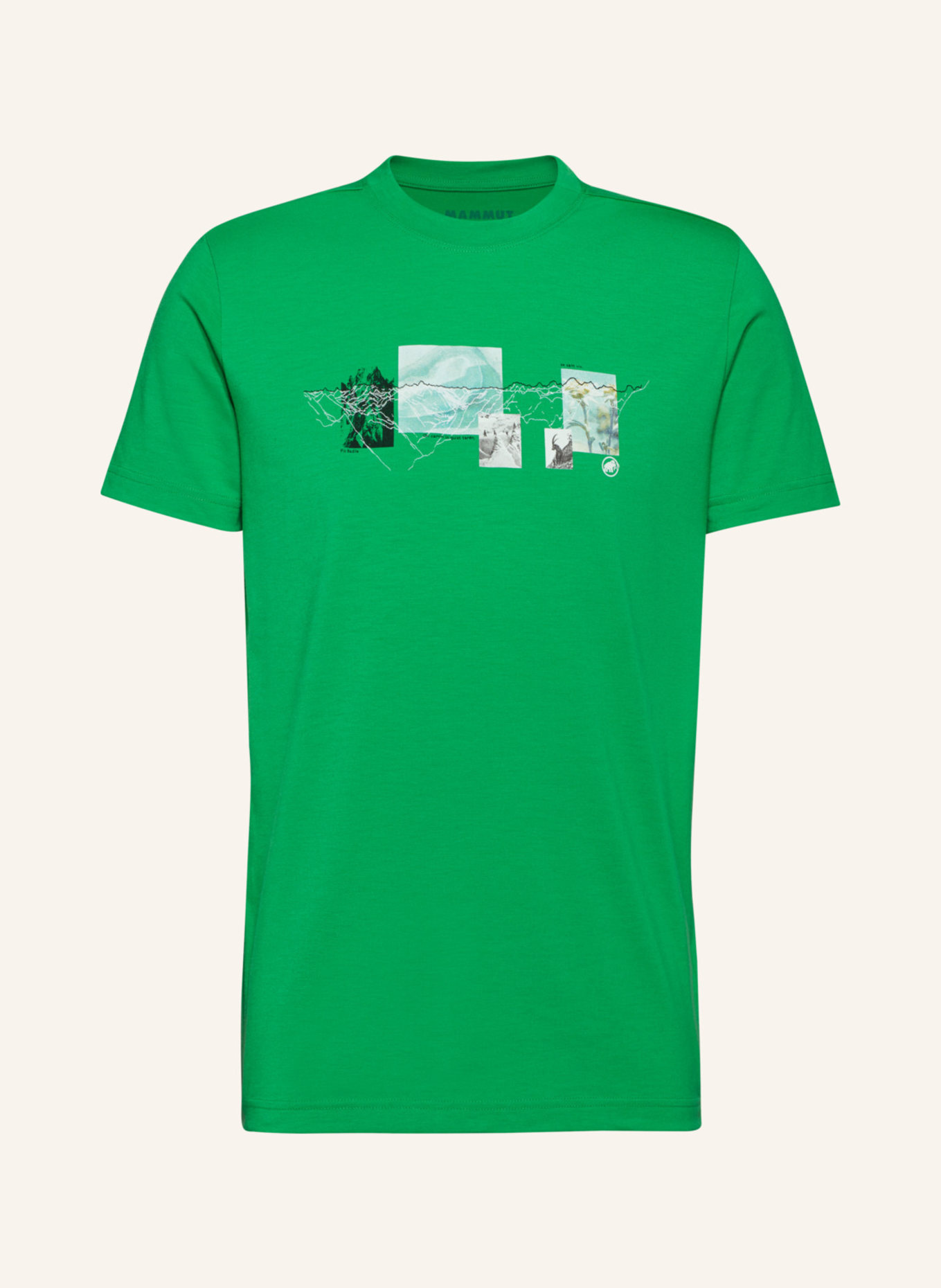 MAMMUT Mammut Mountain T-Shirt Men 3308m: GRÜN