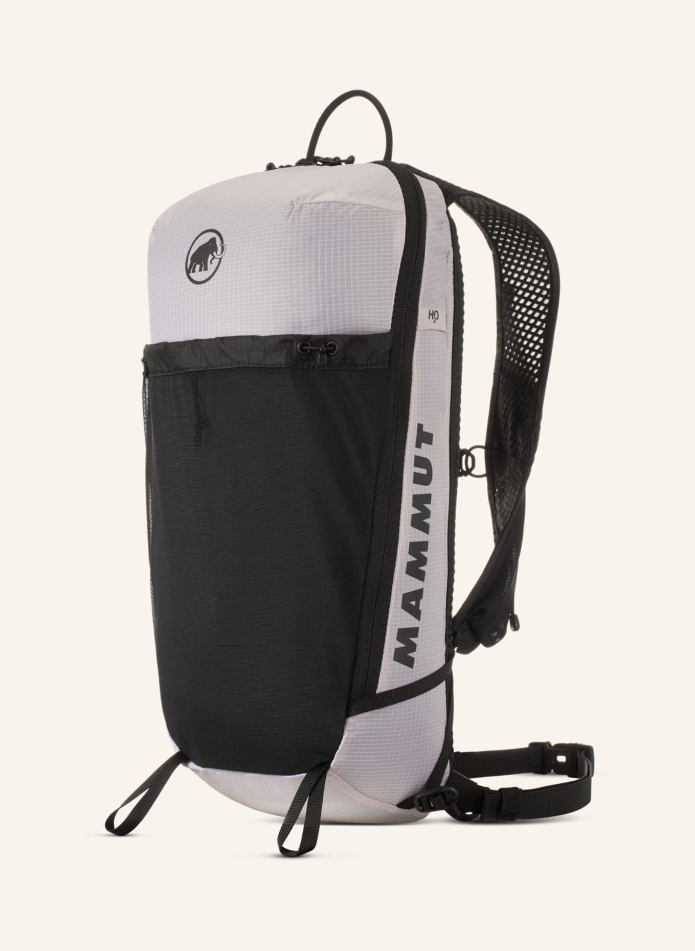 MAMMUT Aenergy 12: LILA