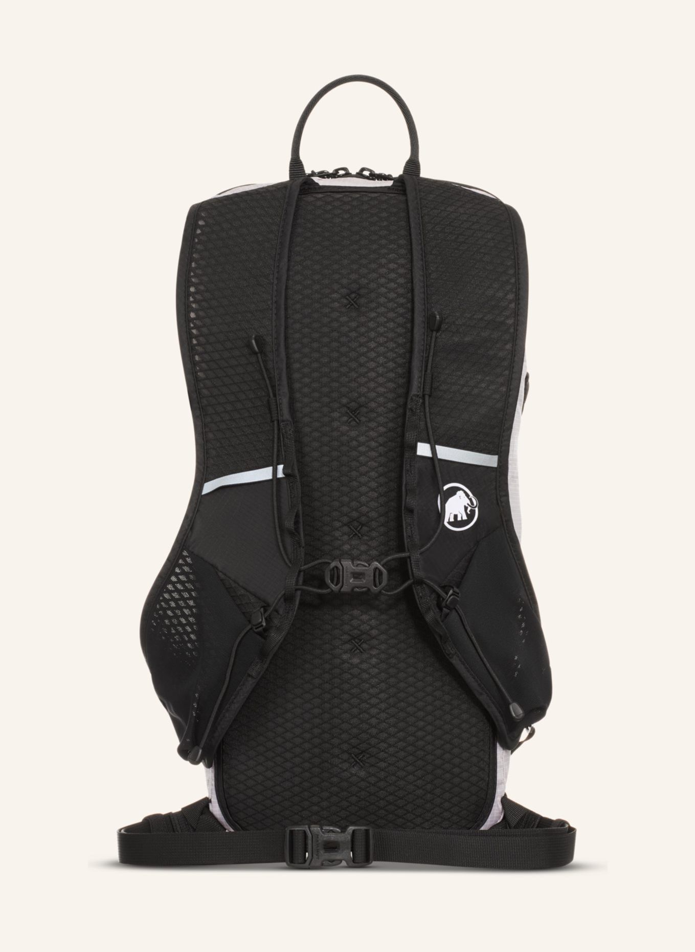 MAMMUT Aenergy 12: LILA