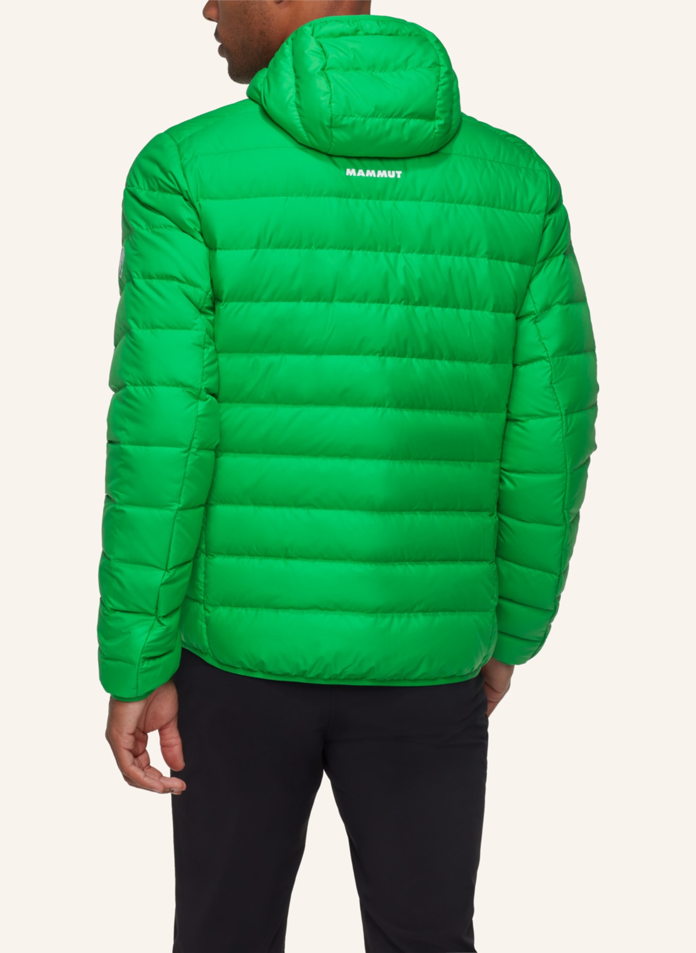MAMMUT Daunenjacke WAYMARKER IN mit Kapuze: GRÜN