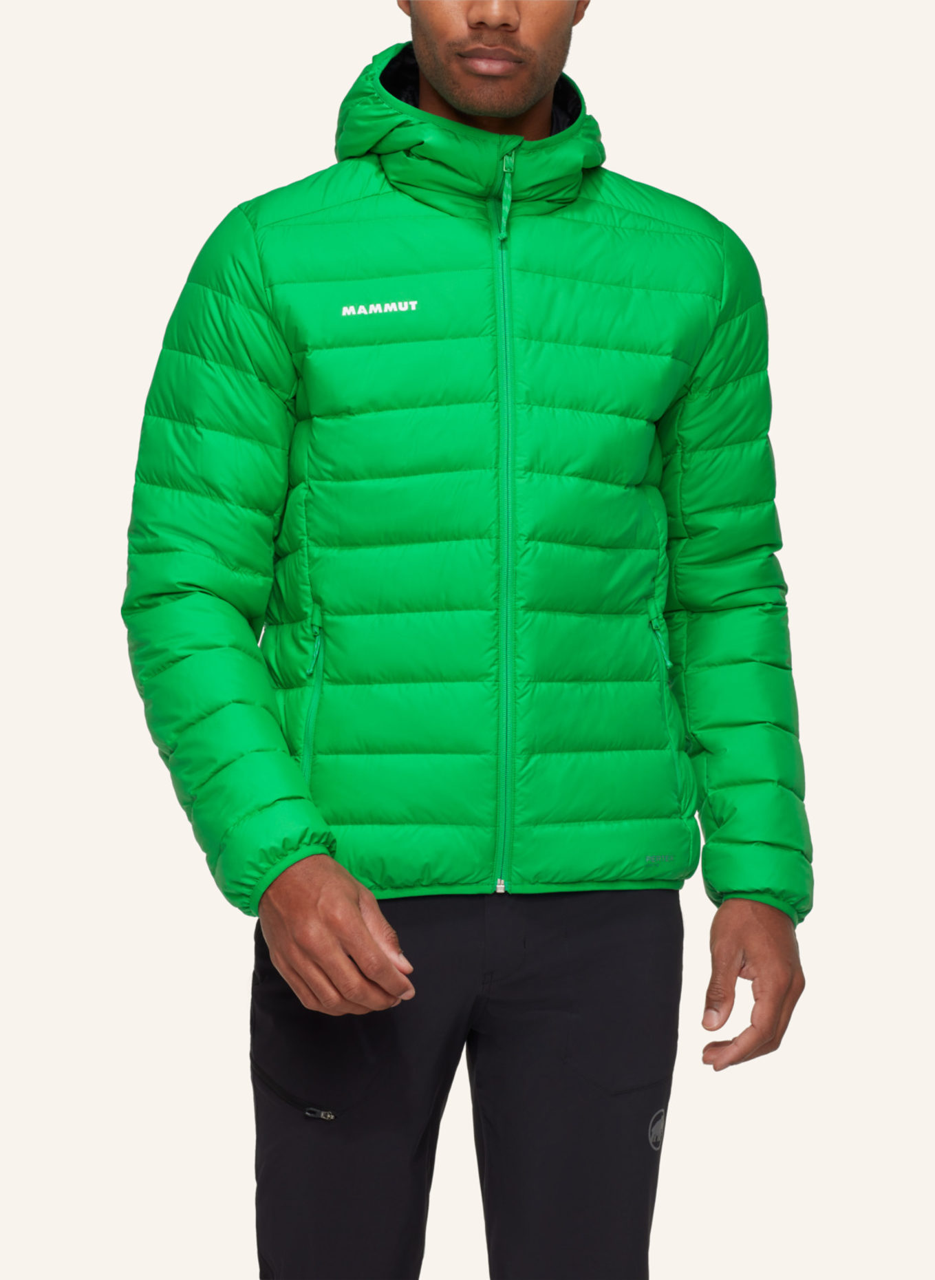 MAMMUT Daunenjacke WAYMARKER IN mit Kapuze: GRÜN
