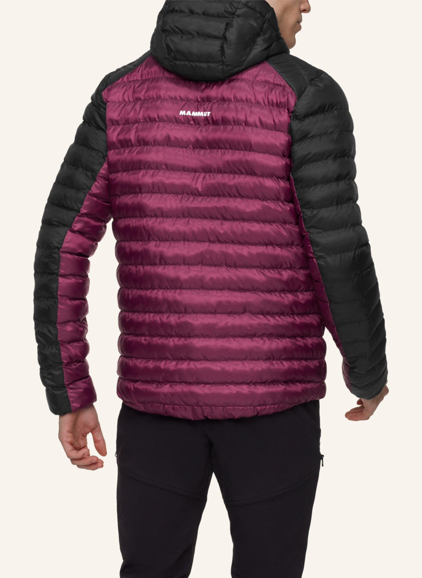 MAMMUT Isolationsjacke ALBULA mit Kapuze: ROT