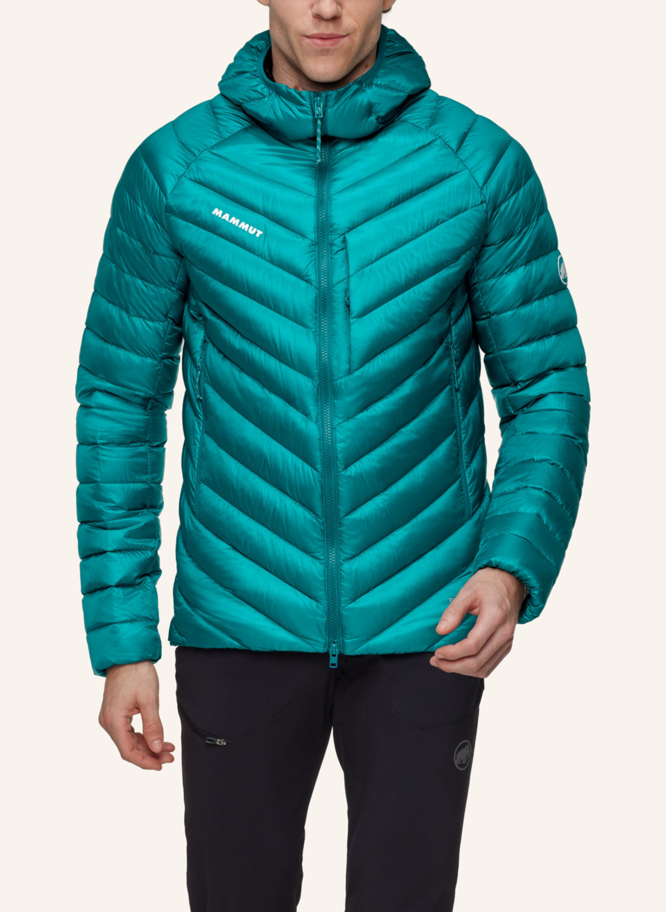 MAMMUT Broad Peak IN Hooded Jacket Men: GRÜN