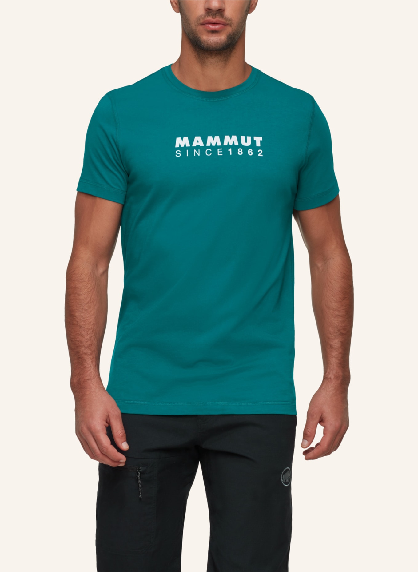 MAMMUT T-Shirt CORE LOGO: GRÜN