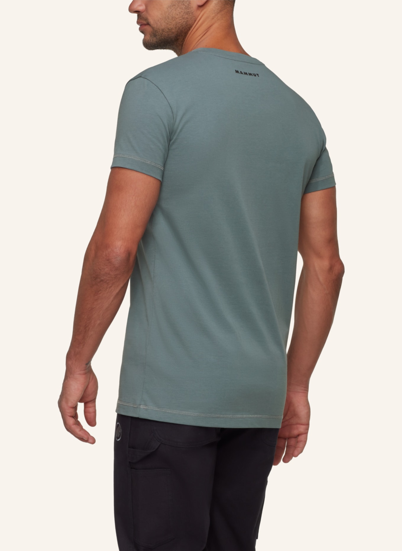 MAMMUT T-Shirt MASSONE PATCH: GRAU