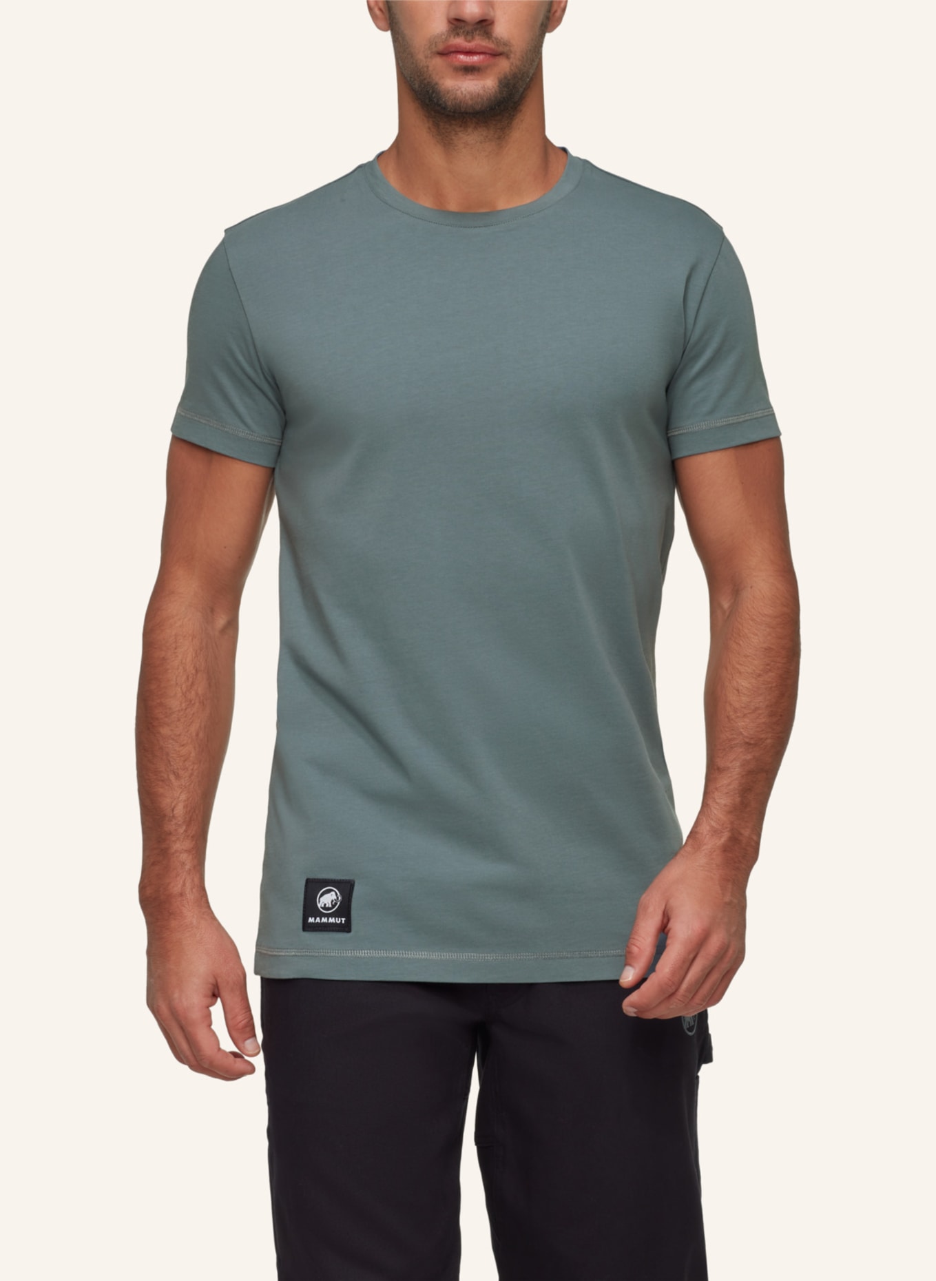 MAMMUT T-Shirt MASSONE PATCH: GRAU