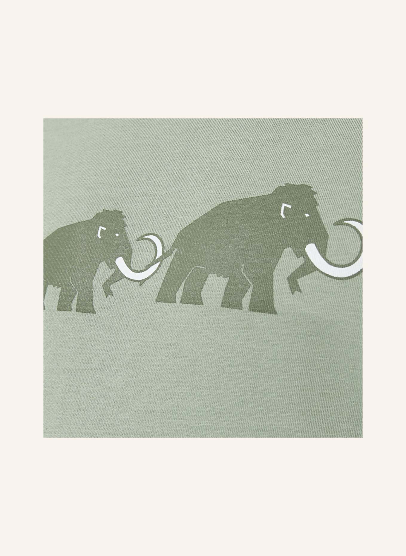 MAMMUT Mammut Mammut Core Longsleeve Kids Logo: GRÜN