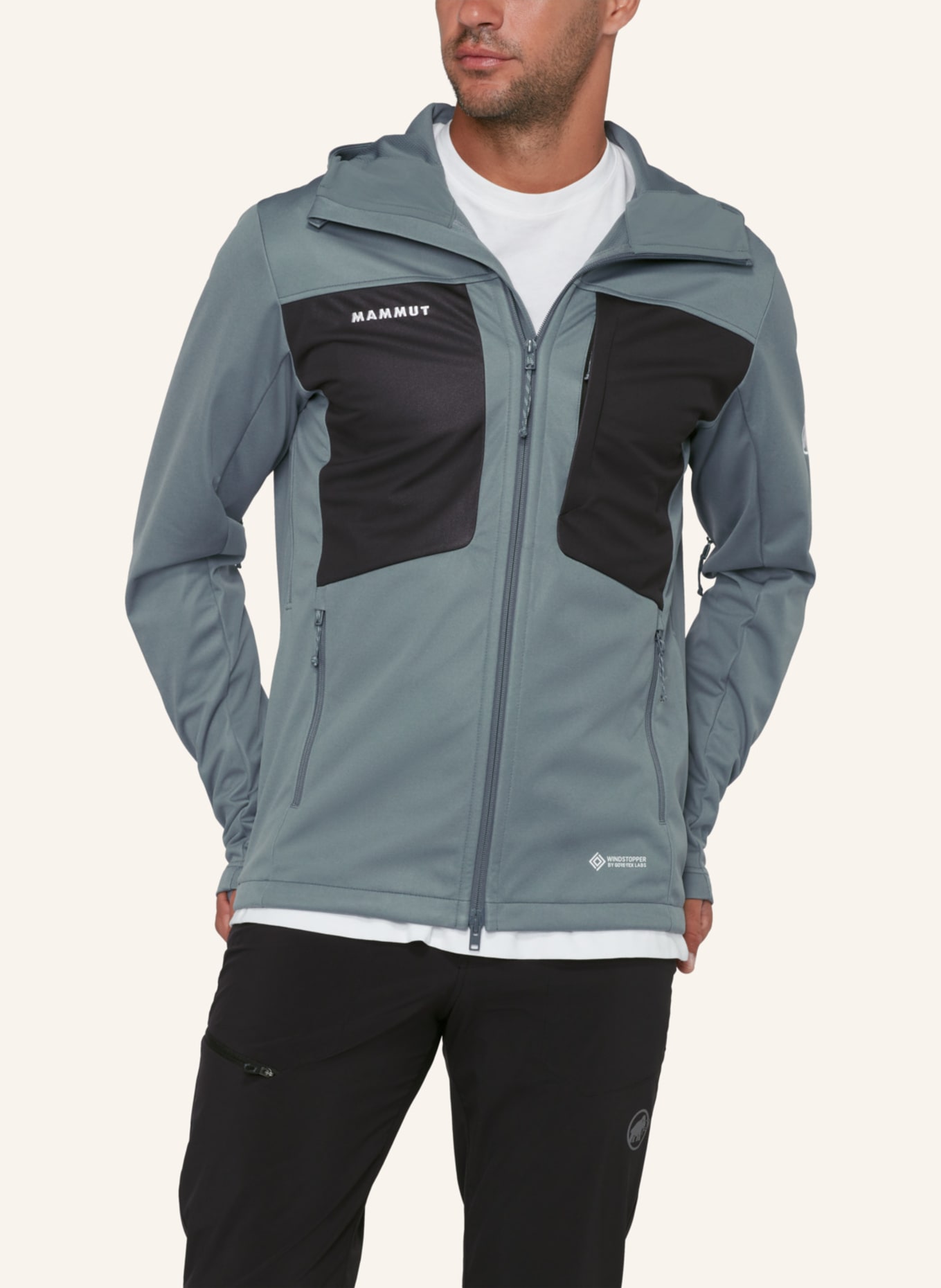 MAMMUT Ultimate VIII SO Hooded Jacket Men: SCHWARZ