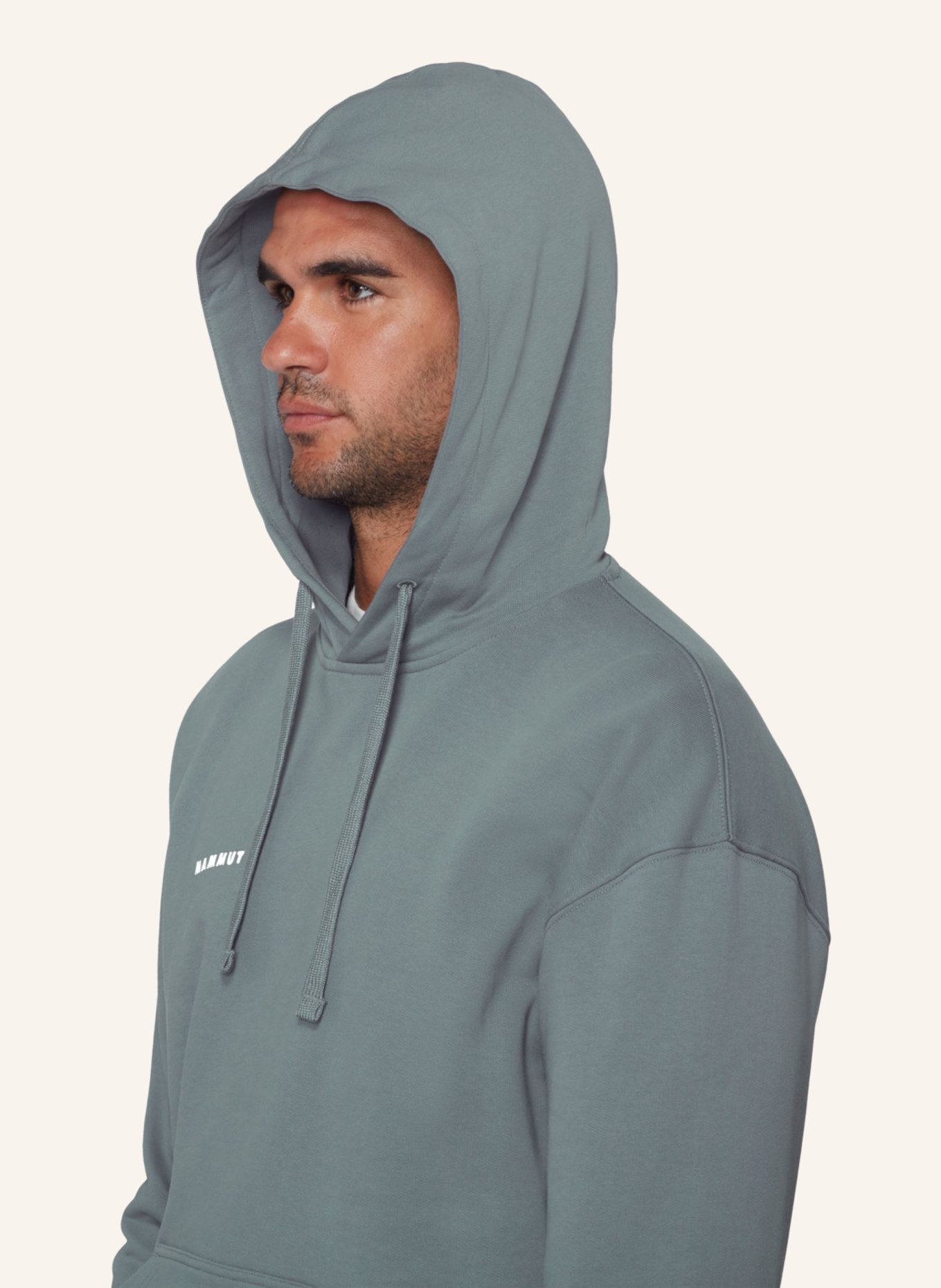 MAMMUT Mammut Base ML Hoody Men Mini Logo: GRAU