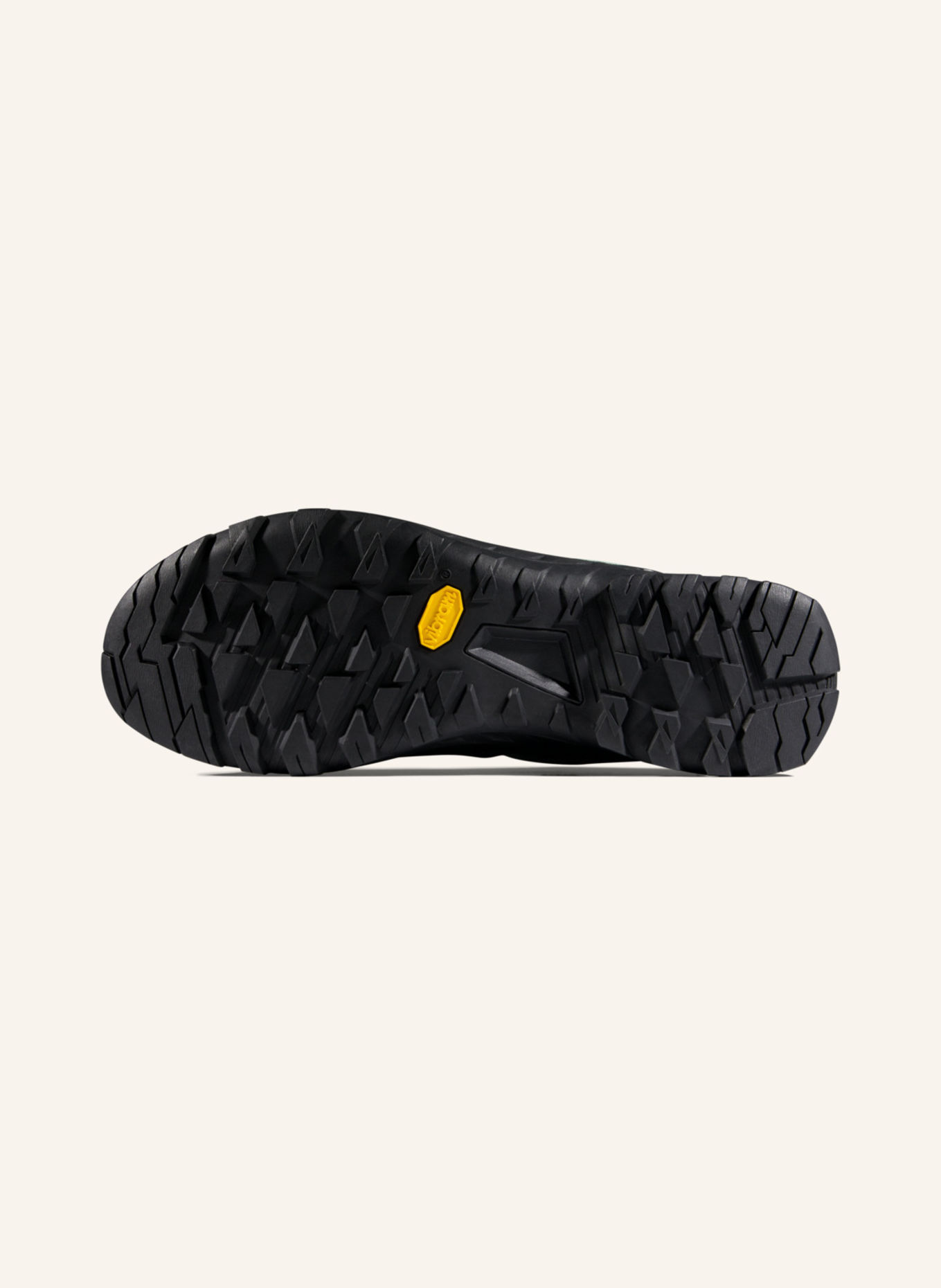 MAMMUT Zustiegsschuhe ALNASCA IV LOW GORE-TEX: GRAU