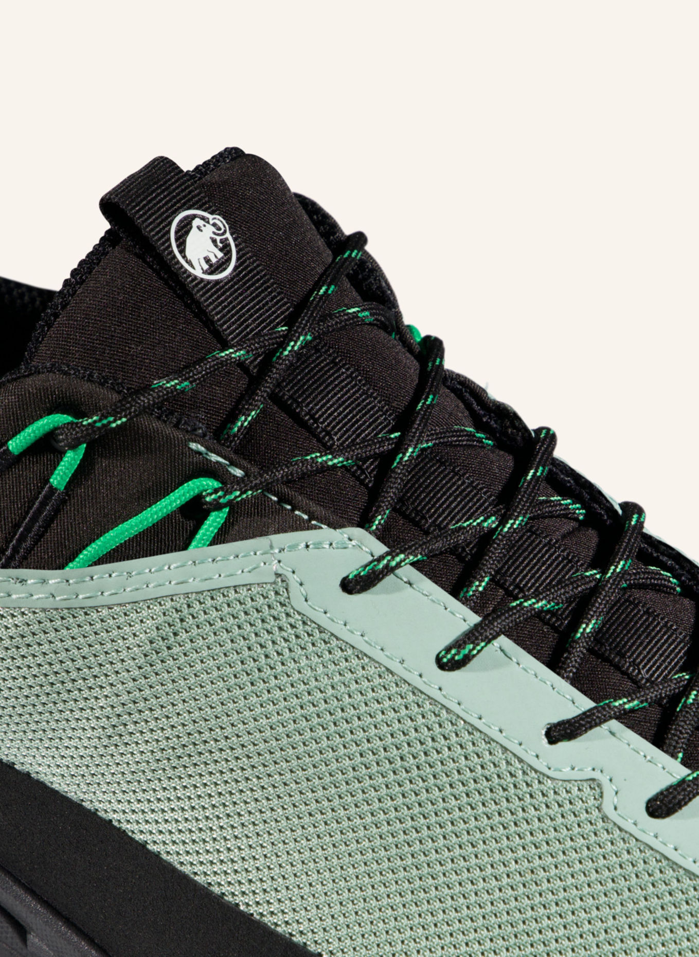 MAMMUT Zustiegsschuhe ALNASCA IV LOW GORE-TEX: GRAU