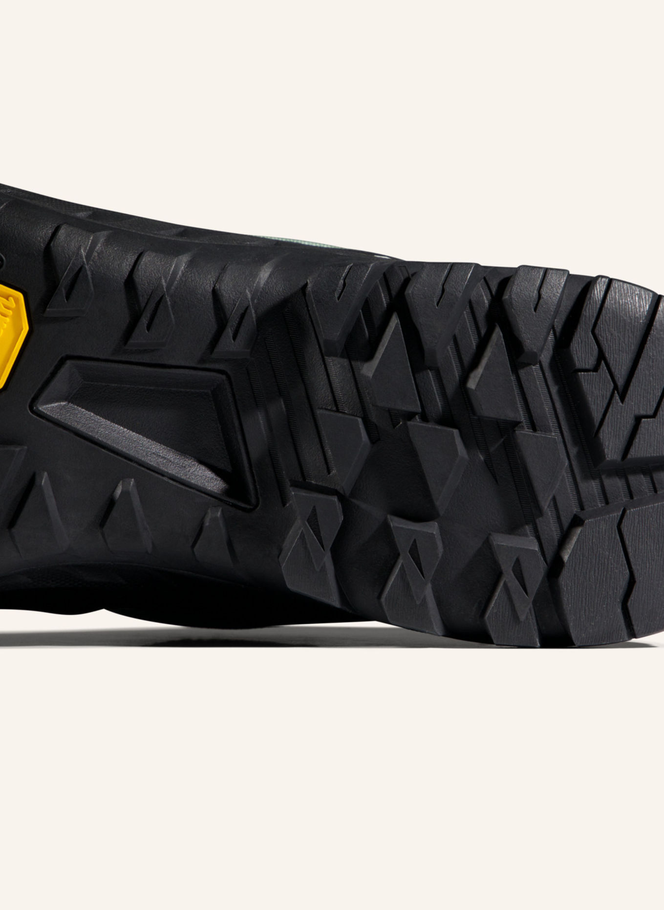 MAMMUT Zustiegsschuhe ALNASCA IV LOW GORE-TEX: GRAU
