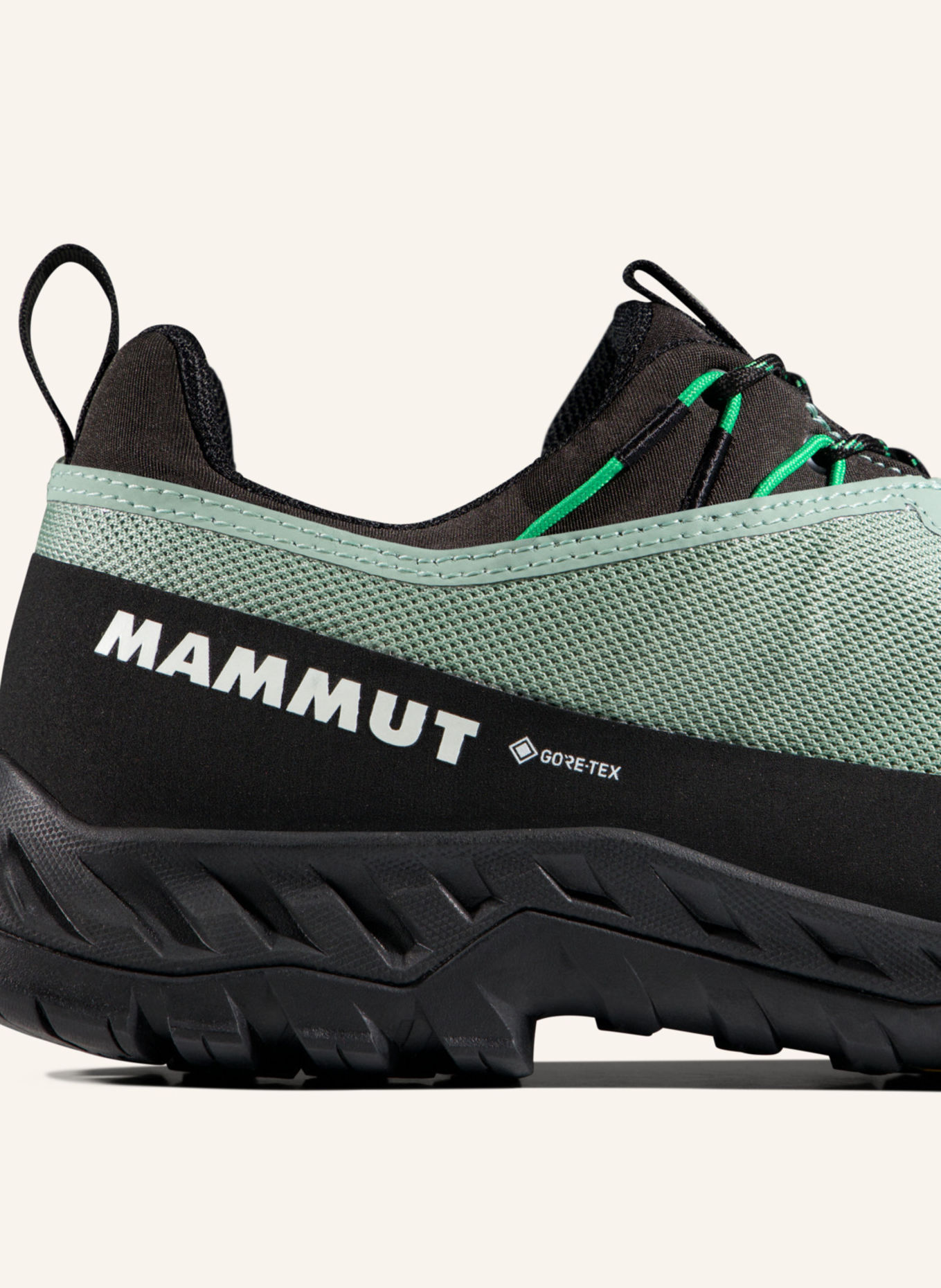 MAMMUT Zustiegsschuhe ALNASCA IV LOW GORE-TEX: GRAU