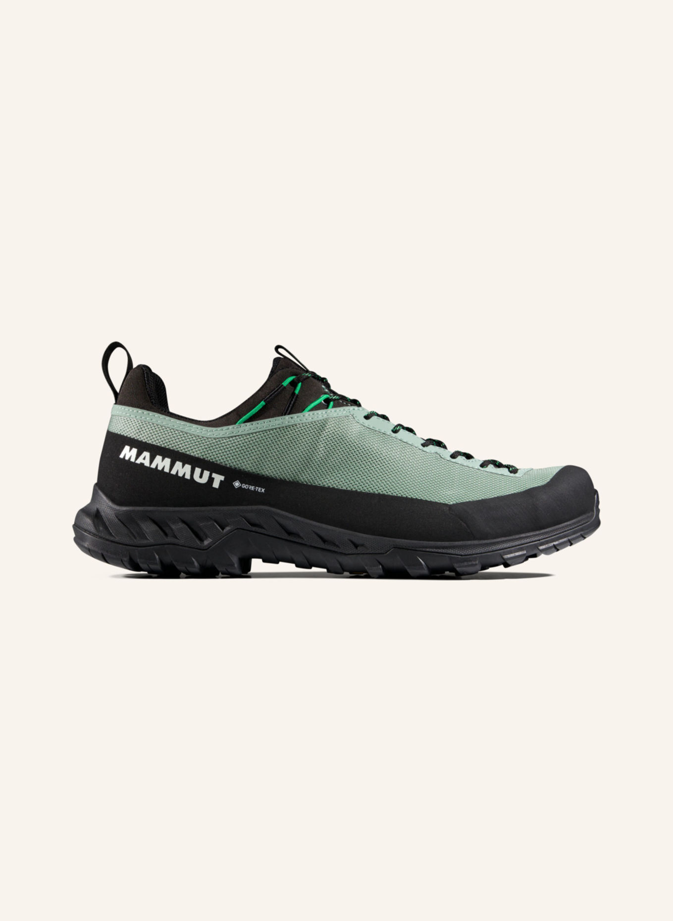 MAMMUT Zustiegsschuhe ALNASCA IV LOW GORE-TEX: GRAU