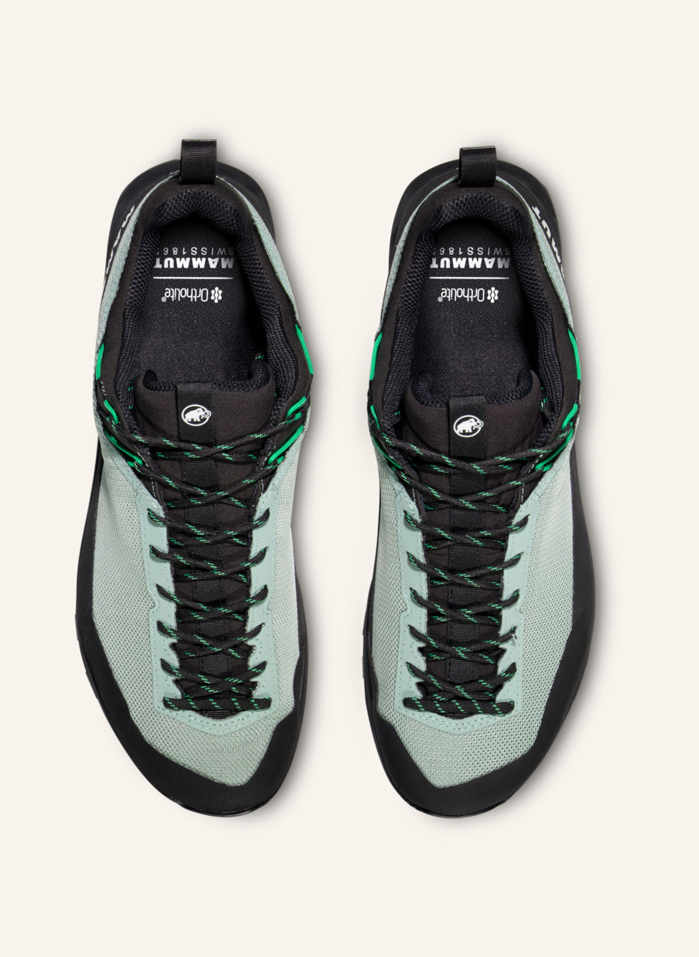 MAMMUT Zustiegsschuhe ALNASCA IV LOW GORE-TEX: GRAU