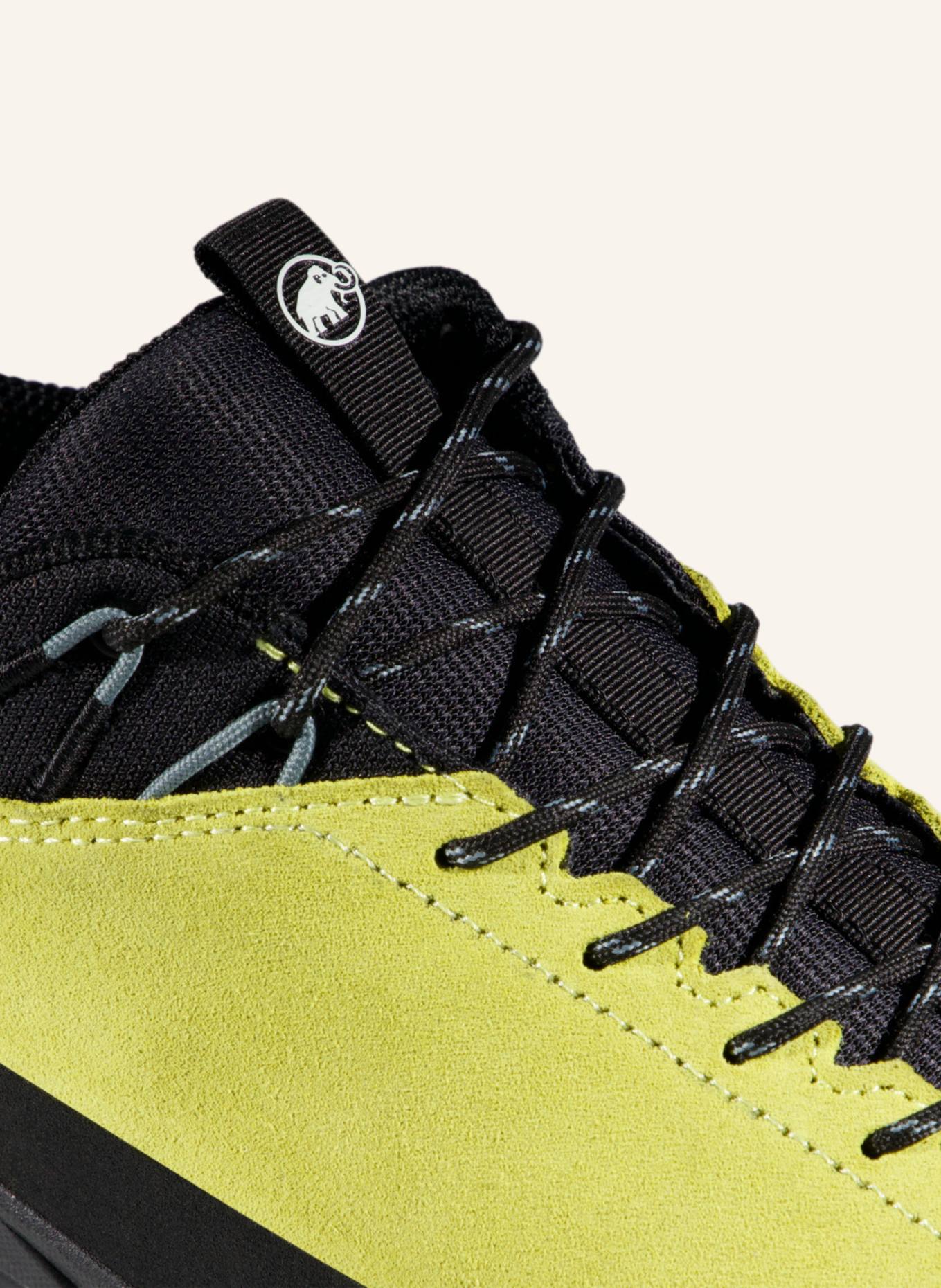 MAMMUT Alnasca IV Low LTH Men: GELB