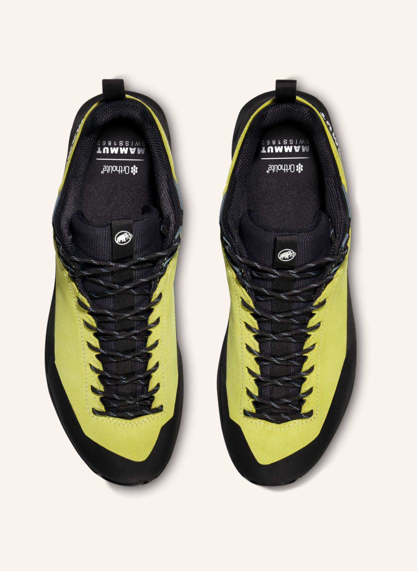 MAMMUT Alnasca IV Low LTH Men: GELB