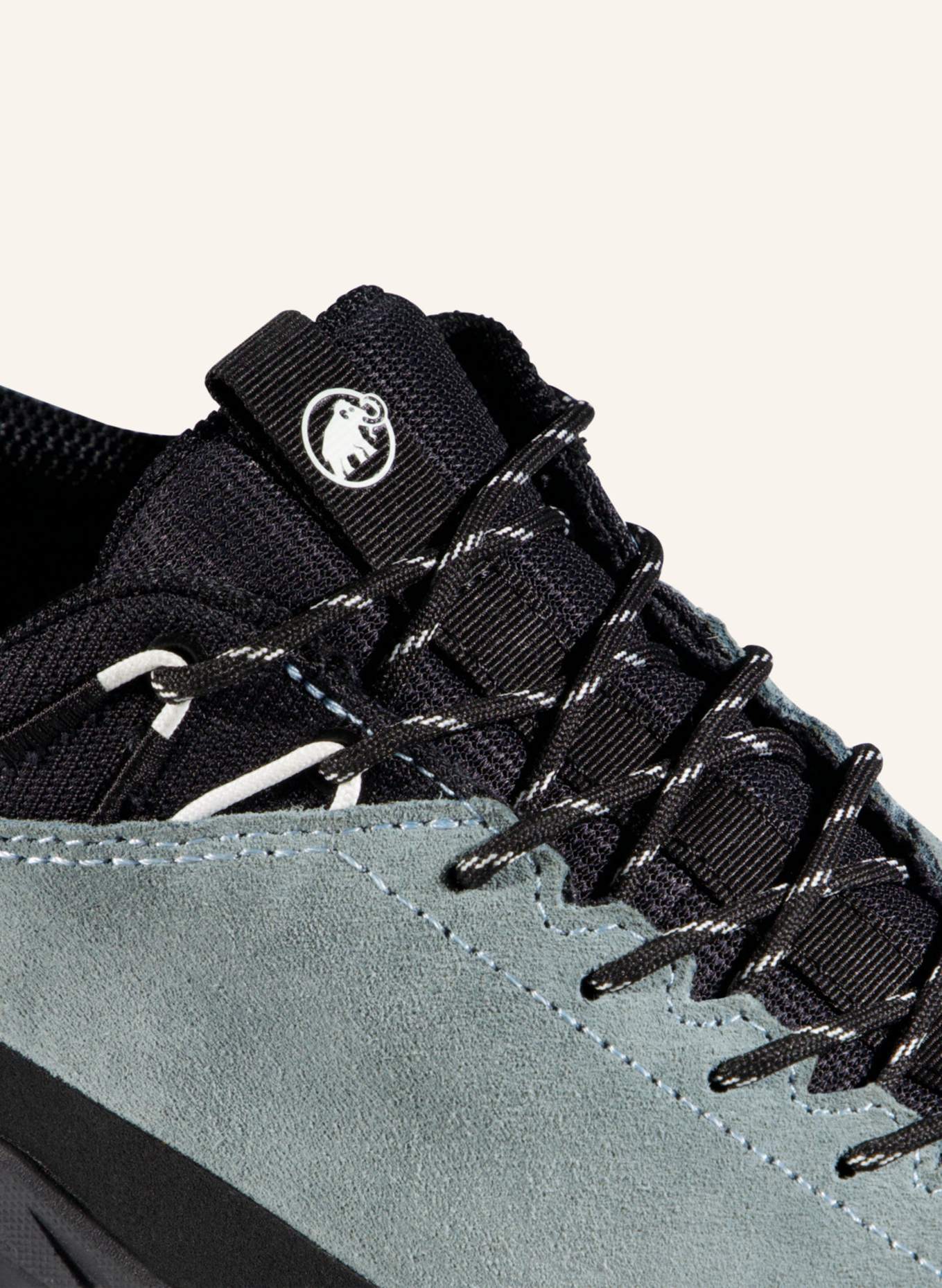 MAMMUT Alnasca IV Low LTH GTX Women: BLAU