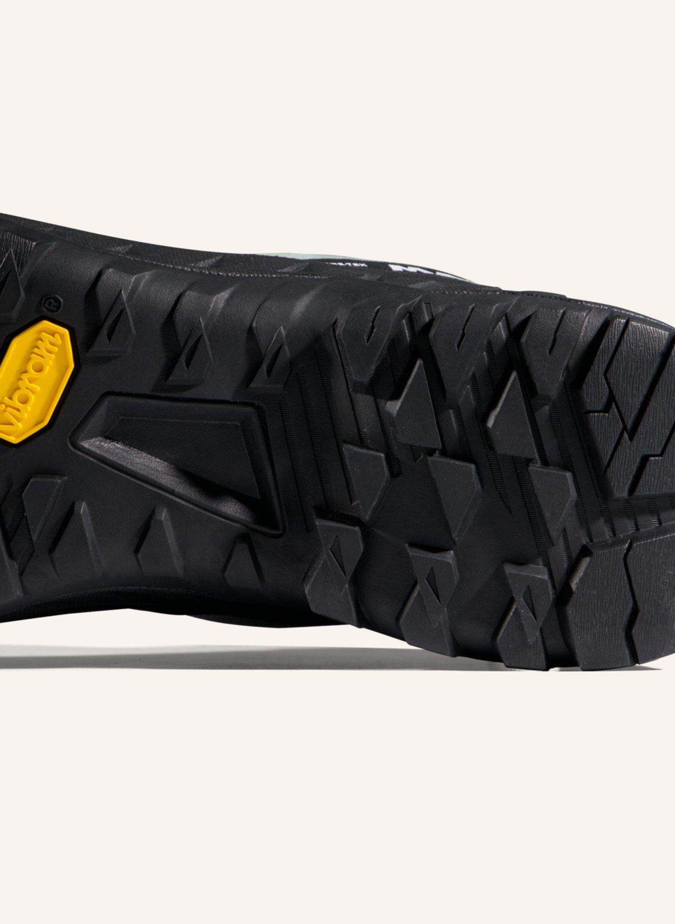 MAMMUT Alnasca IV Low LTH GTX Women: BLAU