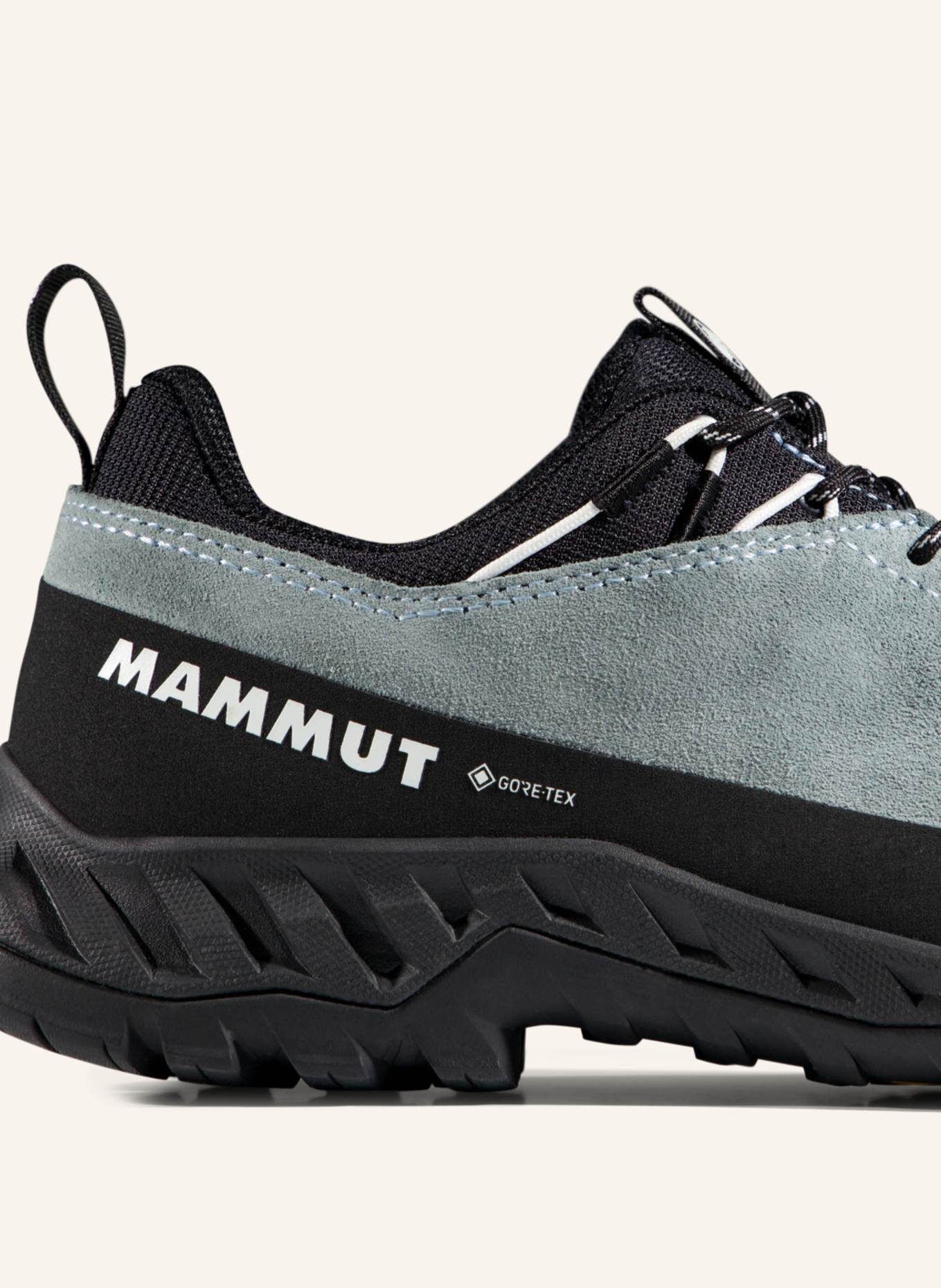 MAMMUT Alnasca IV Low LTH GTX Women: BLAU