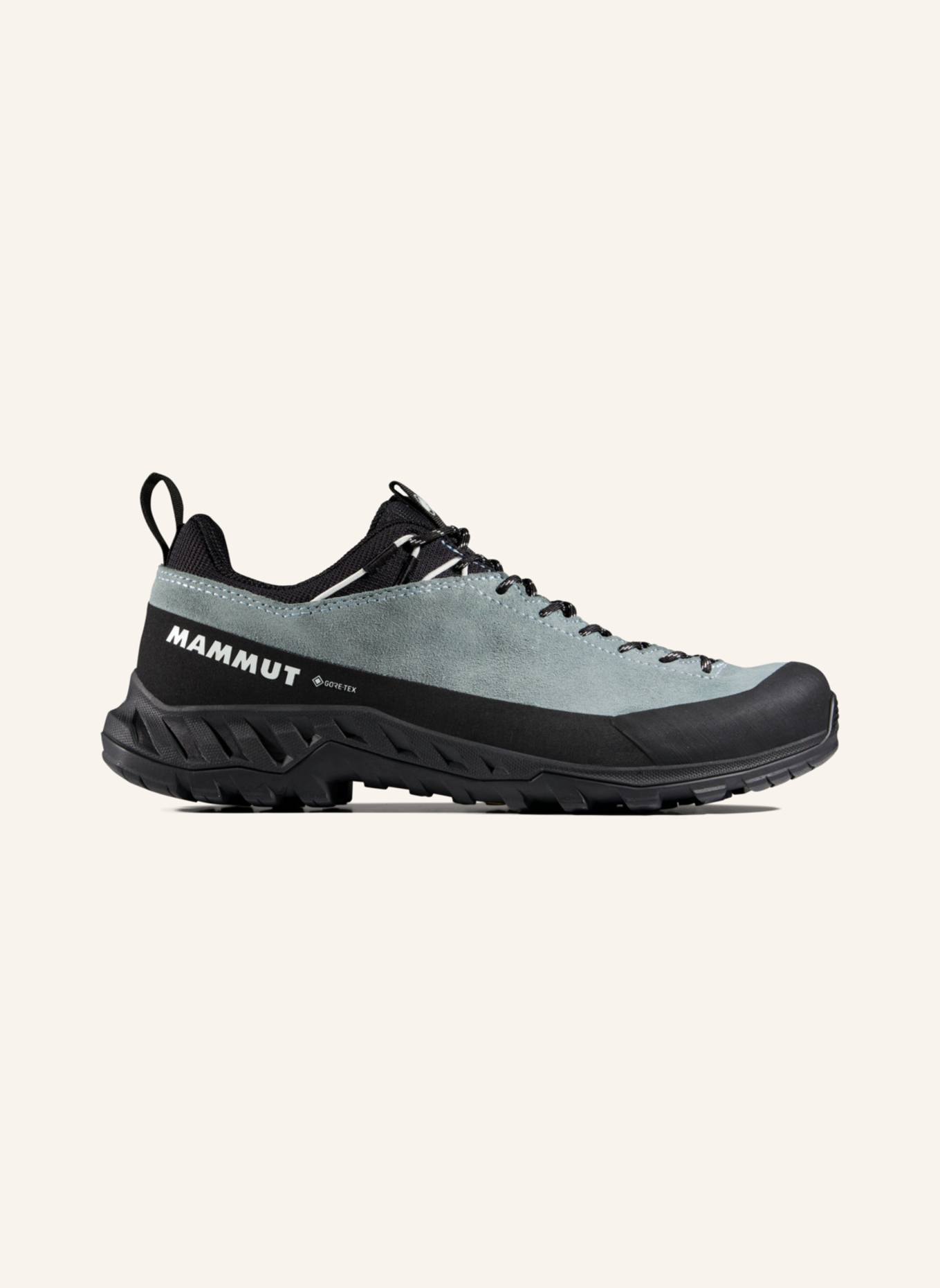 MAMMUT Alnasca IV Low LTH GTX Women: BLAU