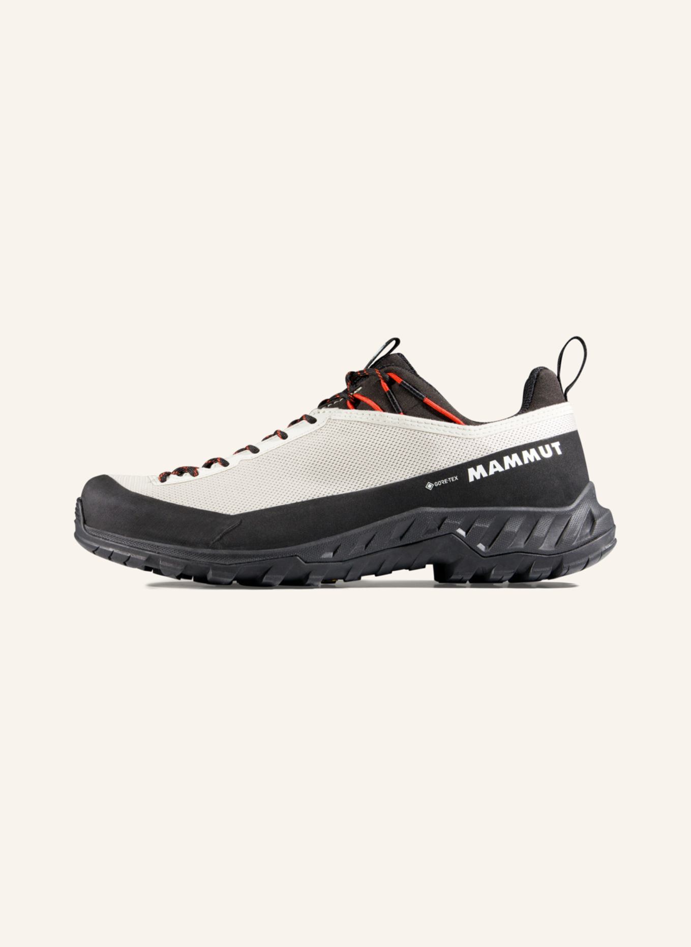 MAMMUT Alnasca IV Low GTX Women: GRAU