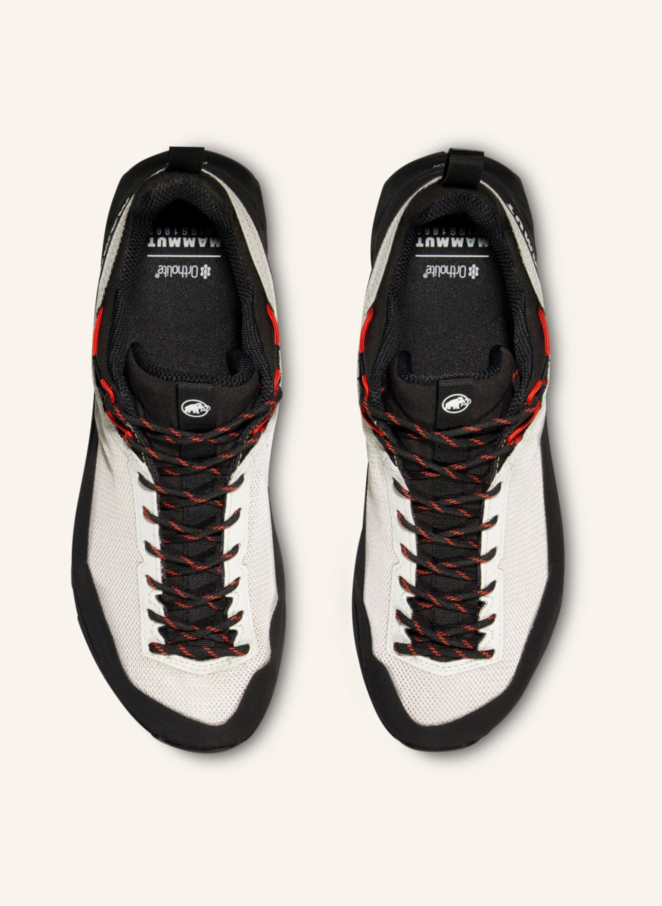 MAMMUT Alnasca IV Low GTX Women: GRAU