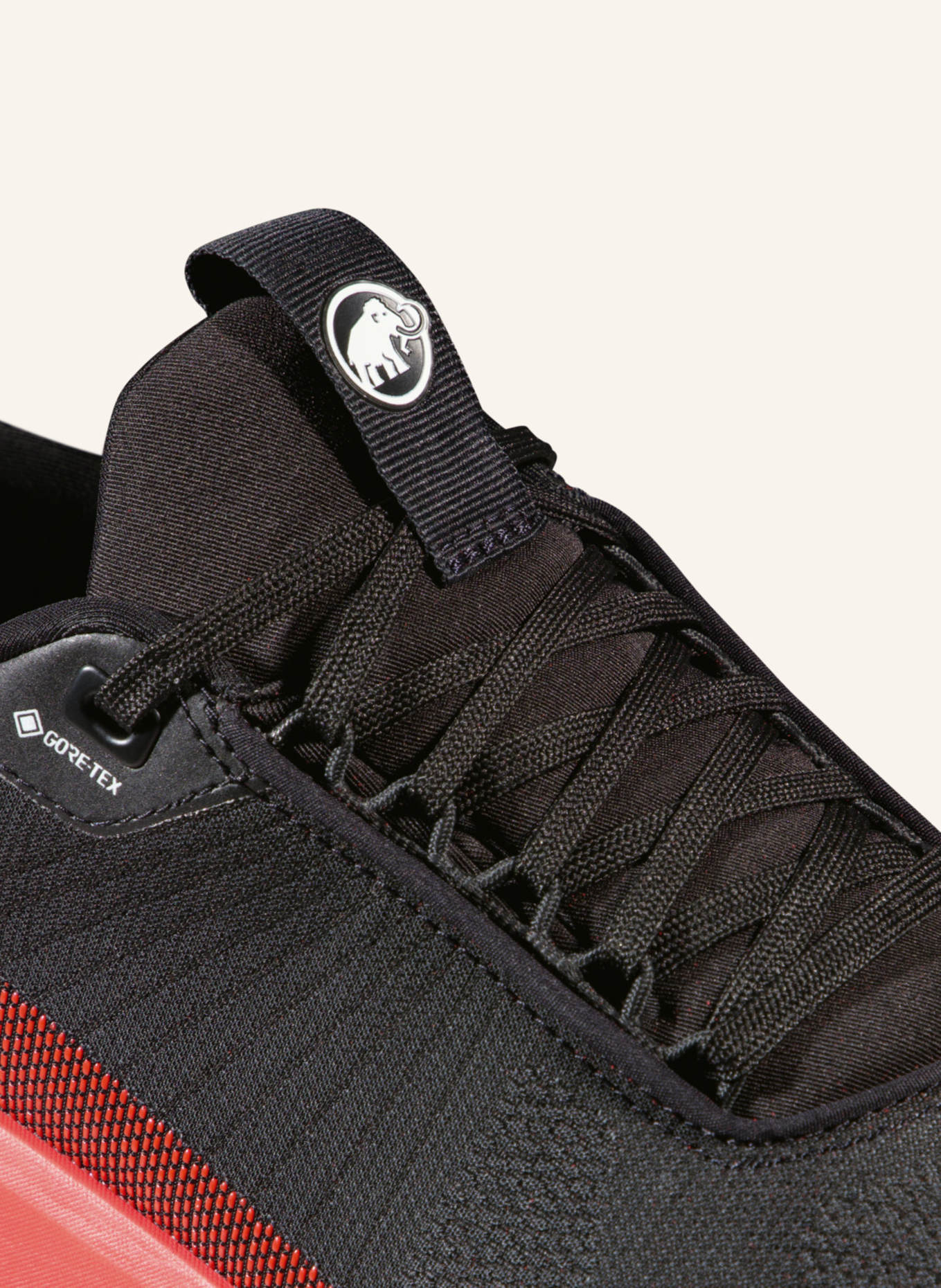 MAMMUT Aenergy Mtn Low GTX Men: SCHWARZ