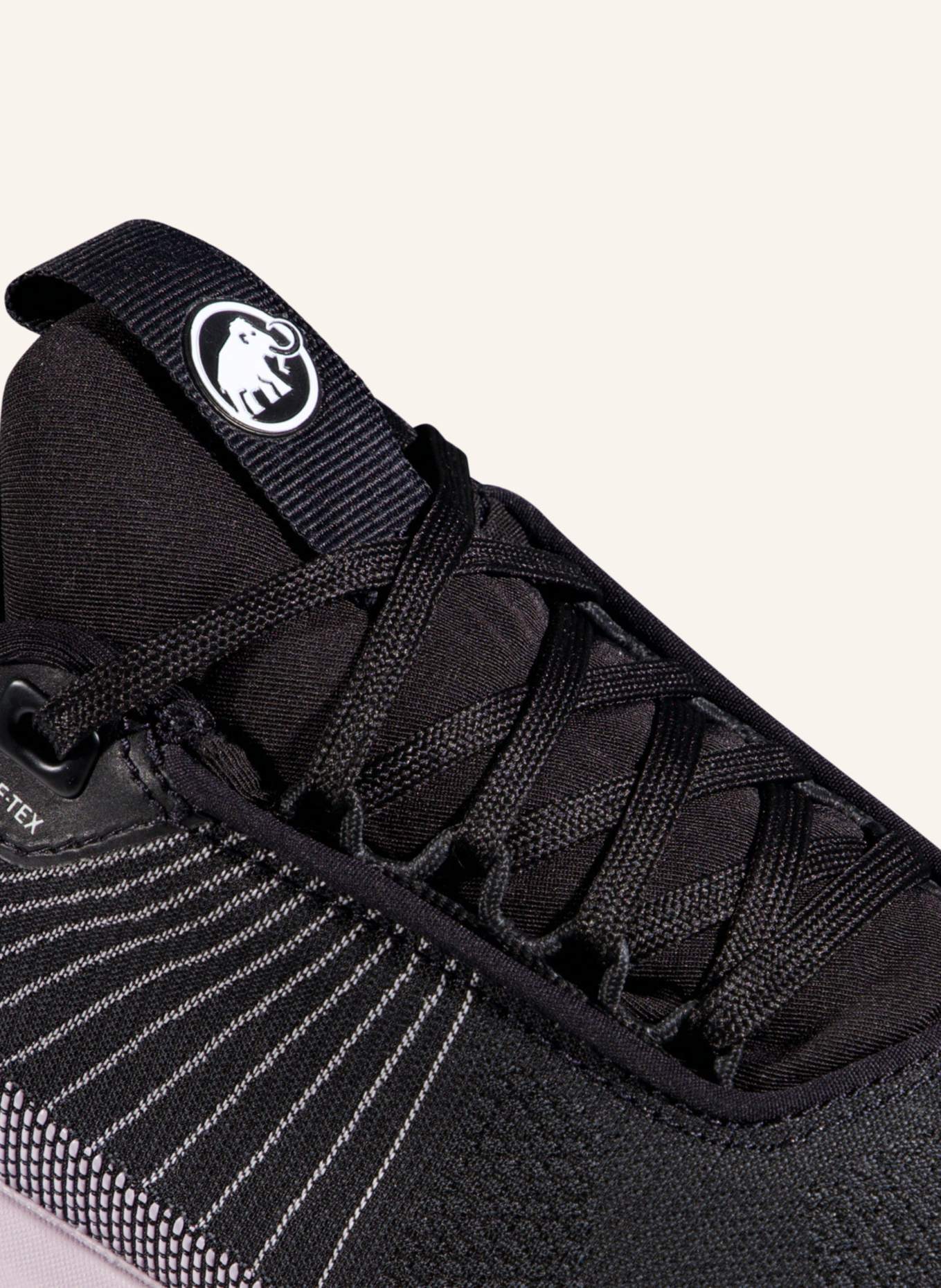 MAMMUT Aenergy Mtn Low GTX Women: SCHWARZ