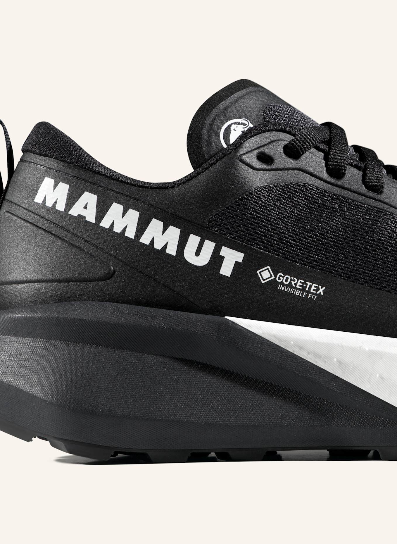 MAMMUT Aenergy Trail Endurance Ultra GTX Women: SCHWARZ