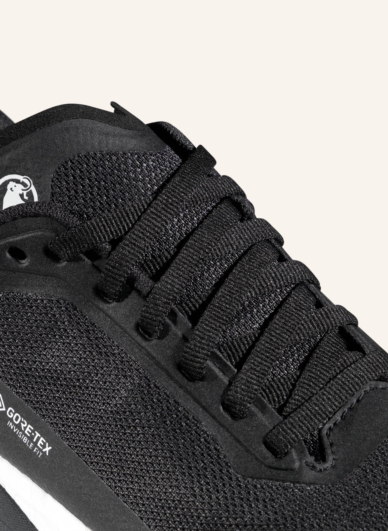 MAMMUT Aenergy Trail Endurance Ultra Low GTX Men: SCHWARZ