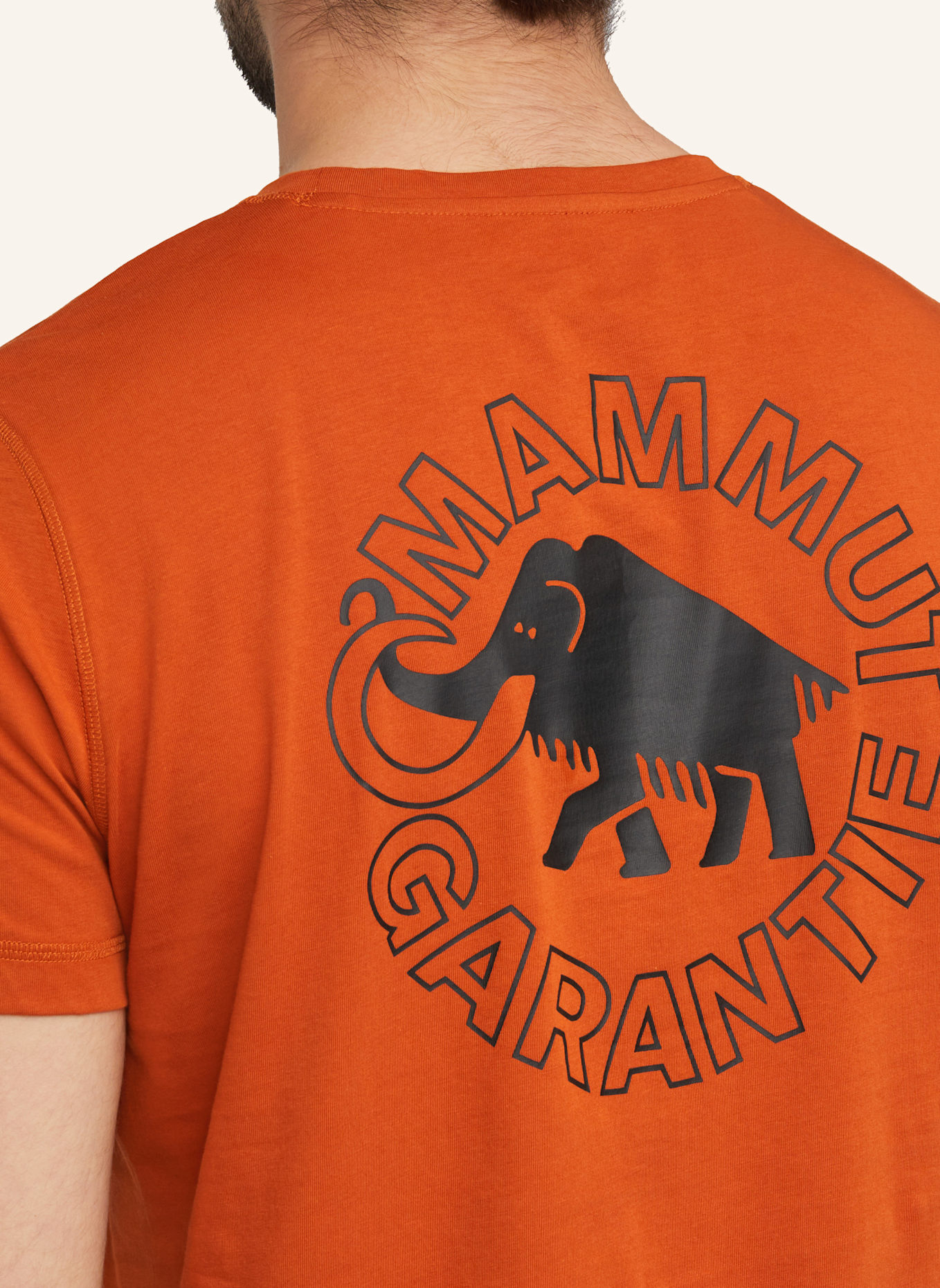 MAMMUT T-Shirt CORE: BRAUN