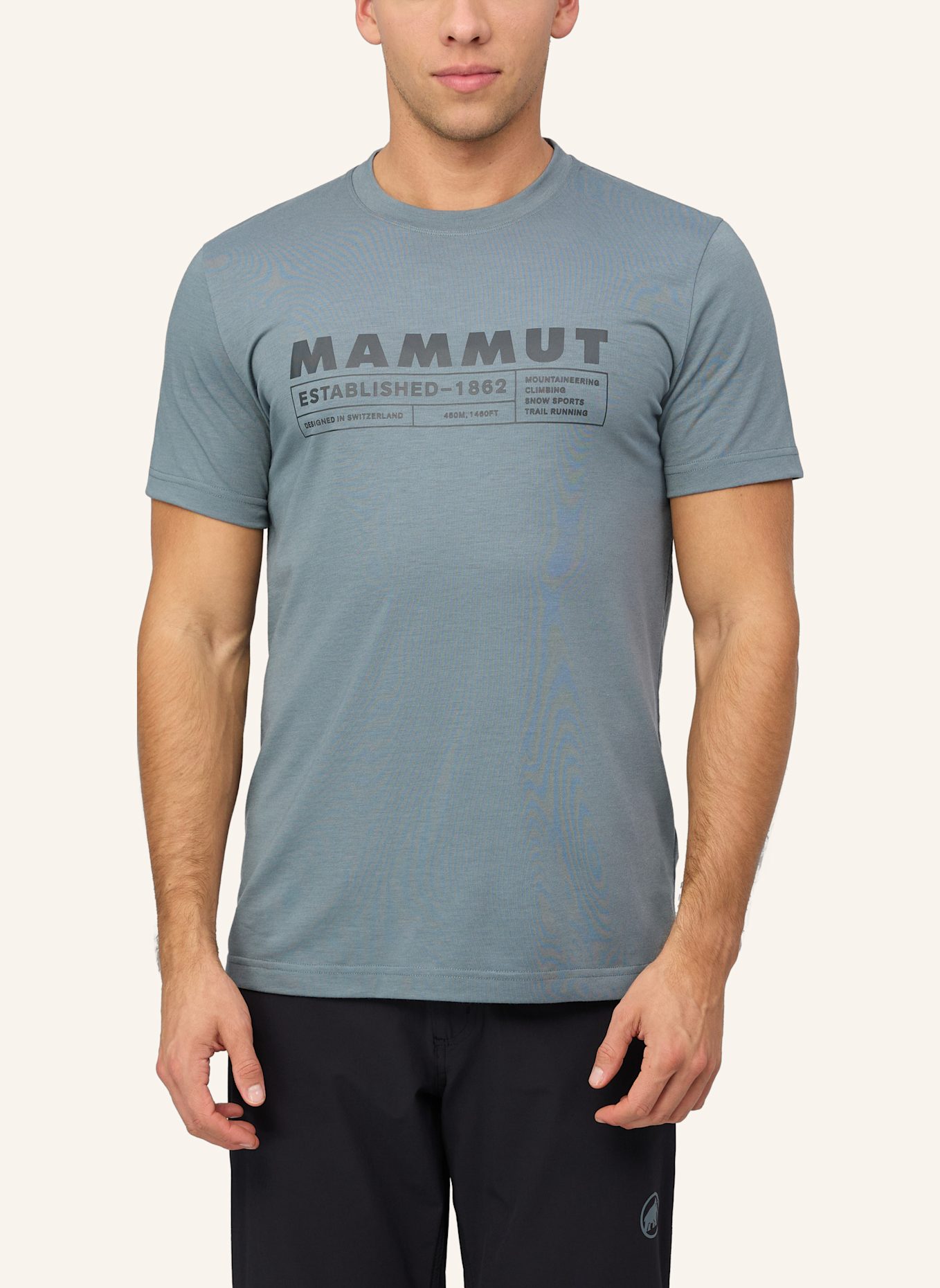 MAMMUT T-Shirt TROVAT LOGO: GRAU