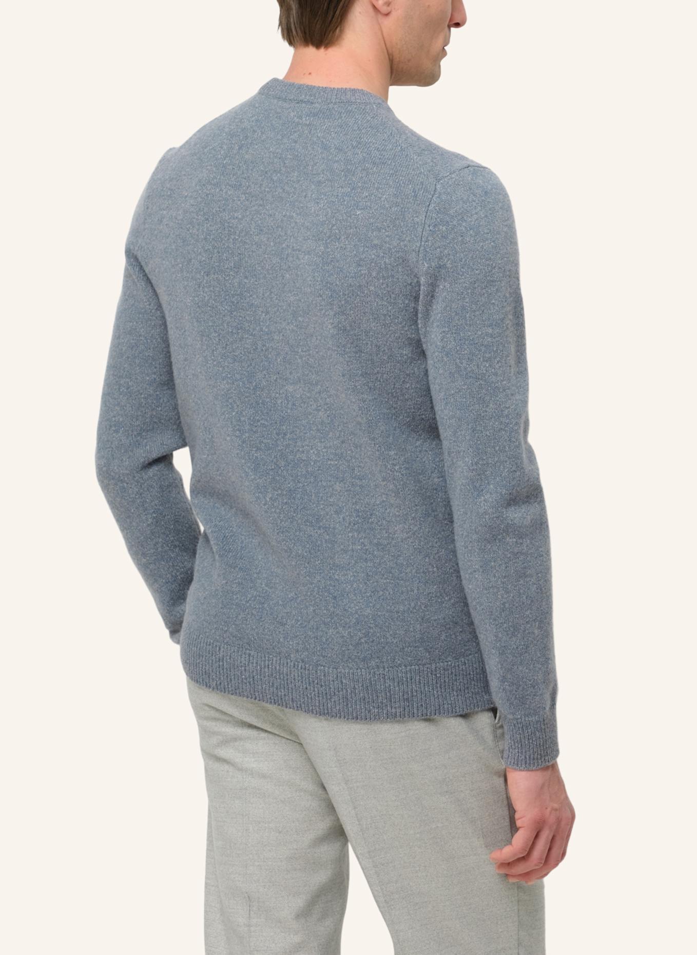 PROFUOMO Herren Pullover: BLAU