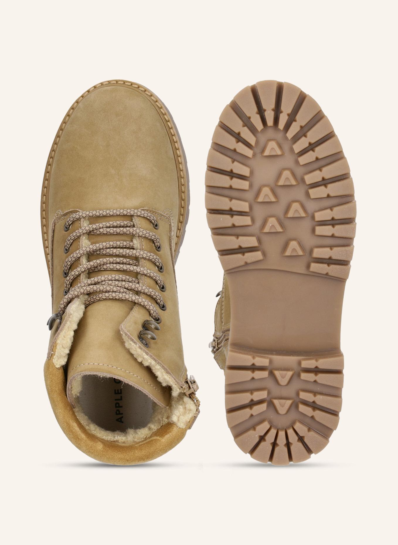 Apple of Eden Schnürstiefeletten: CAMEL