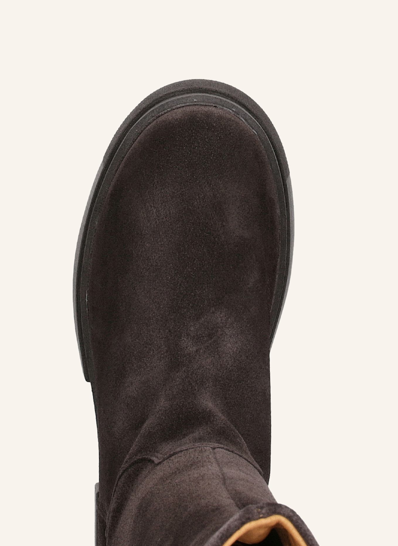 Apple of Eden Stiefel: DUNKELBRAUN