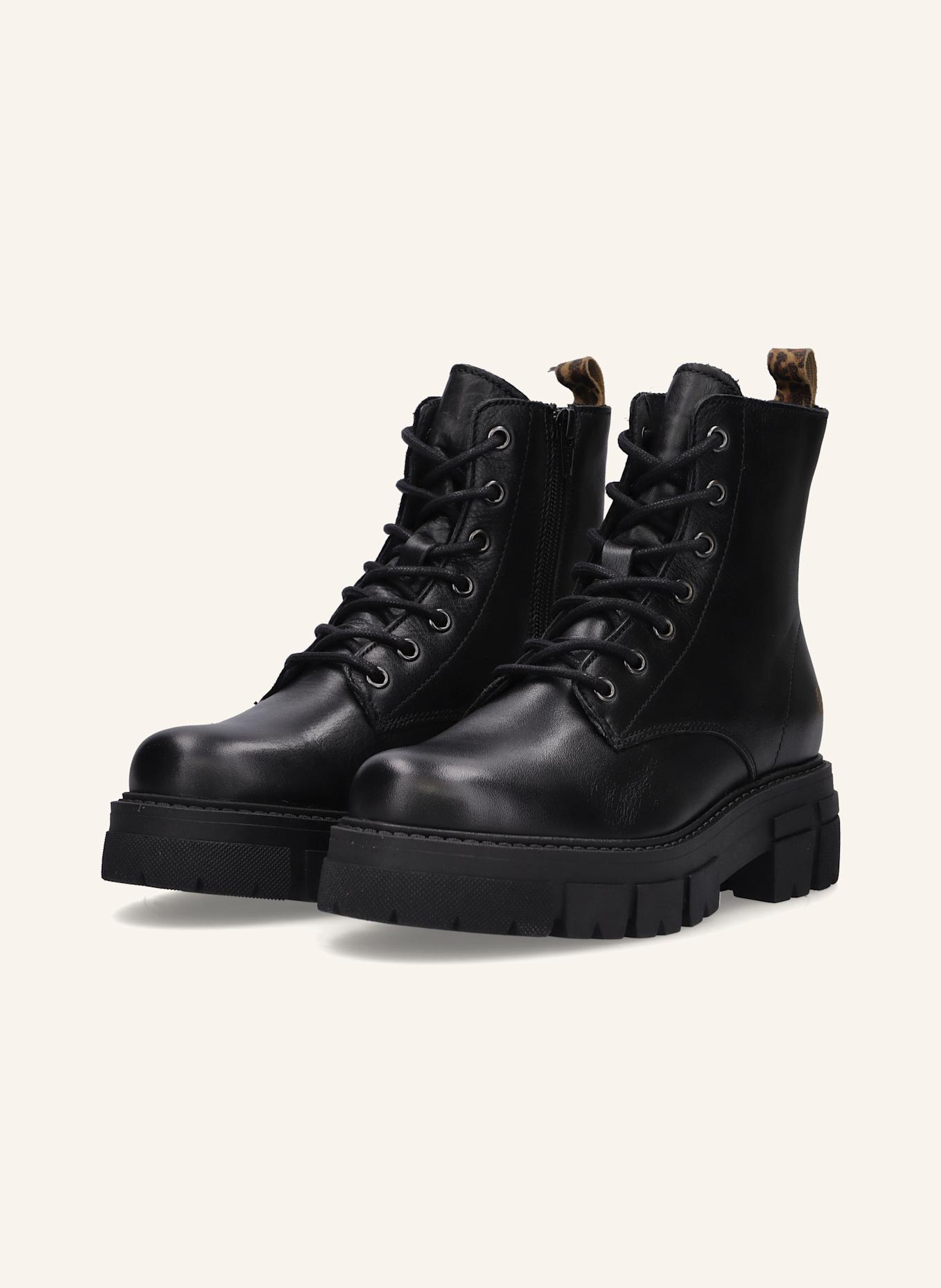 Apple of Eden Schnürstiefeletten: BRAUN/ SCHWARZ/ CAMEL