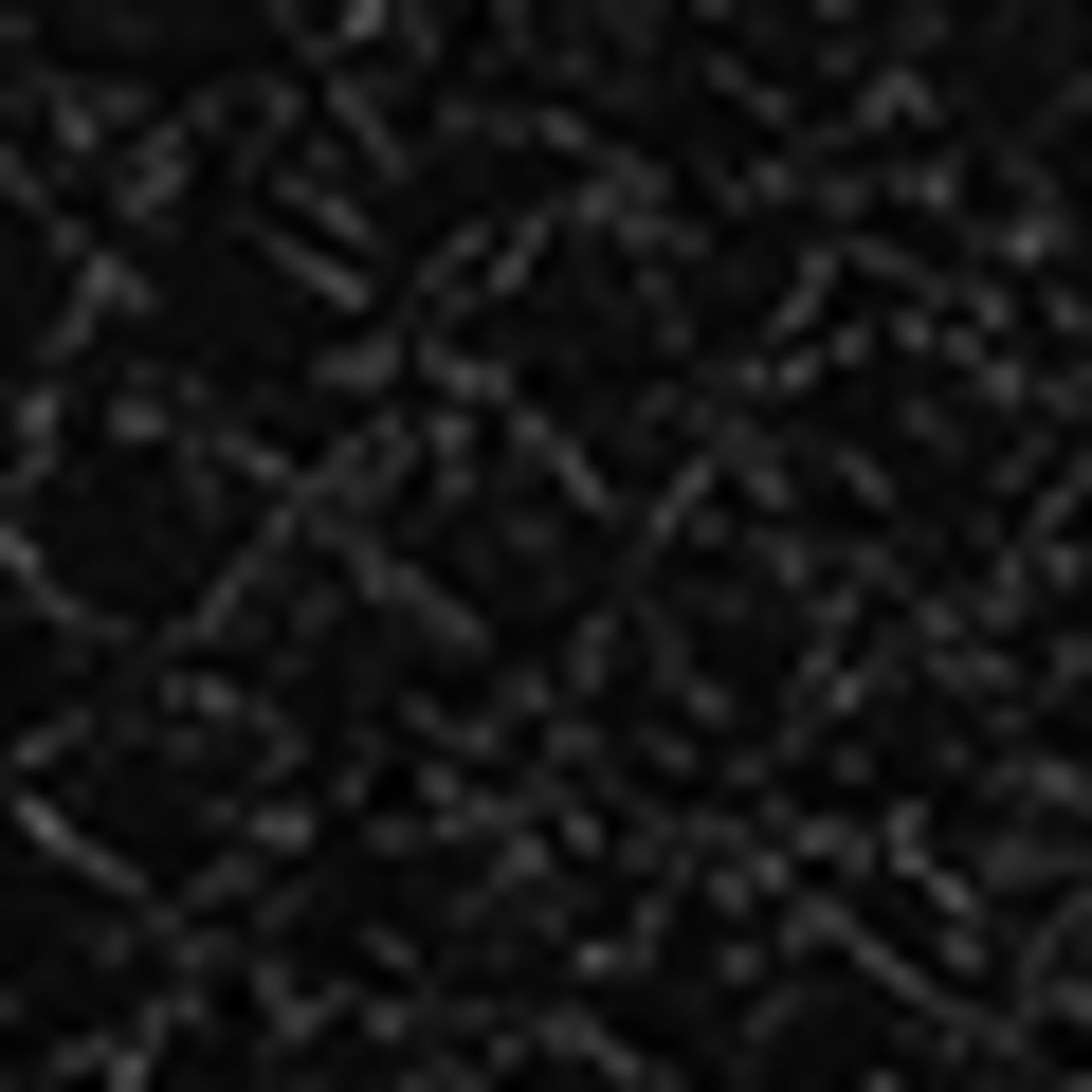 AIGNER Kartenetui DEBORAH: SCHWARZ