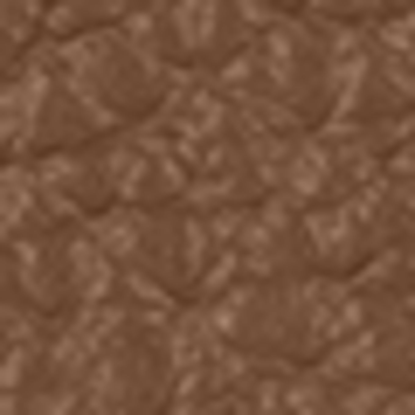 AIGNER Kartenetui IVY mit Münzfach: BRAUN