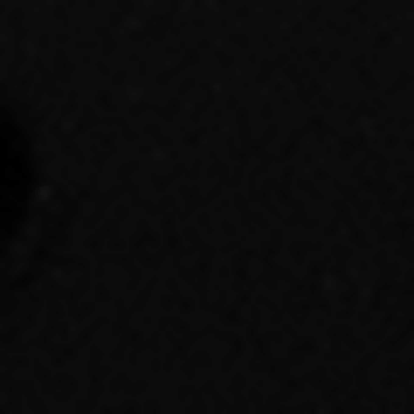 AIGNER Ledergürtel LOGO: SCHWARZ