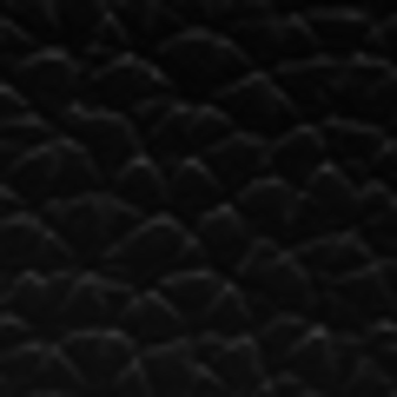 AIGNER FASHION: SCHWARZ