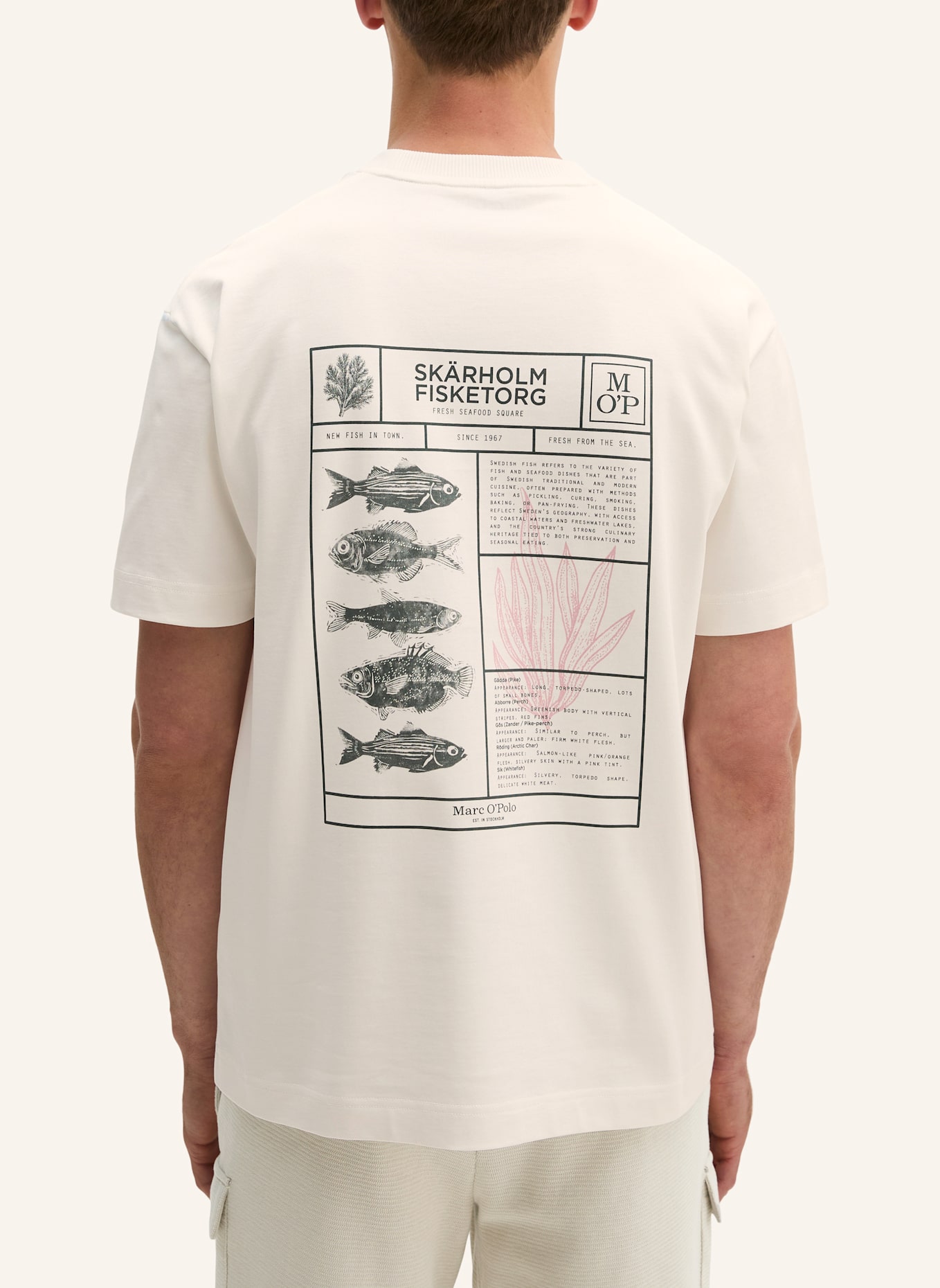 Marc O'Polo T-Shirt: ECRU