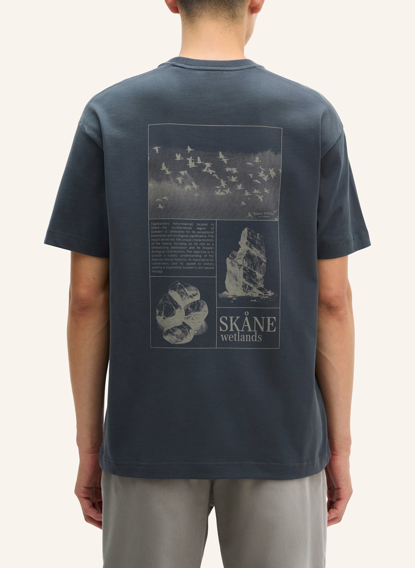 Marc O'Polo T-Shirt: BLAU