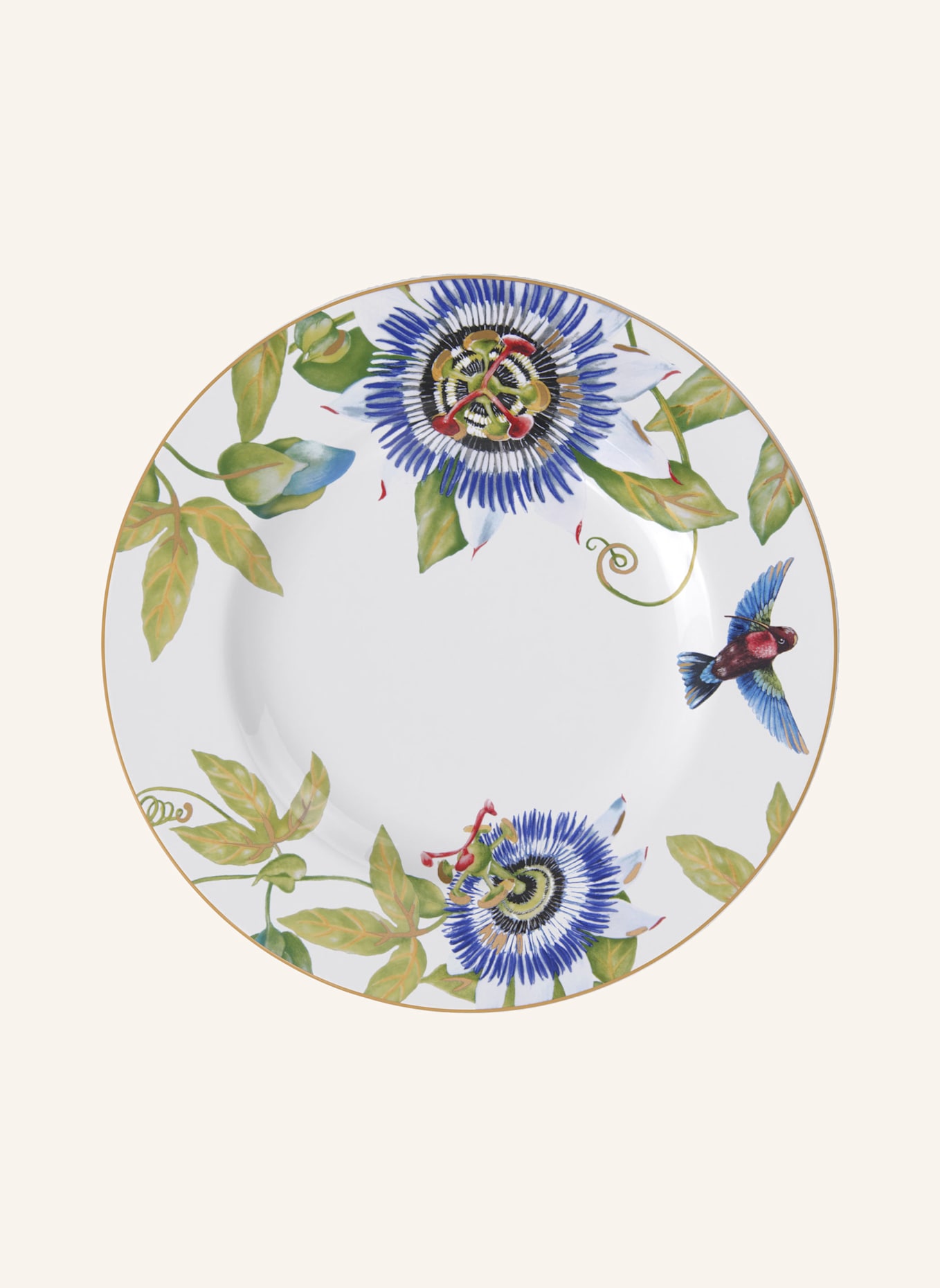 Villeroy & Boch Speiseteller AMAZONIA: GELB/ GRÜN/ BLAU/ ROT