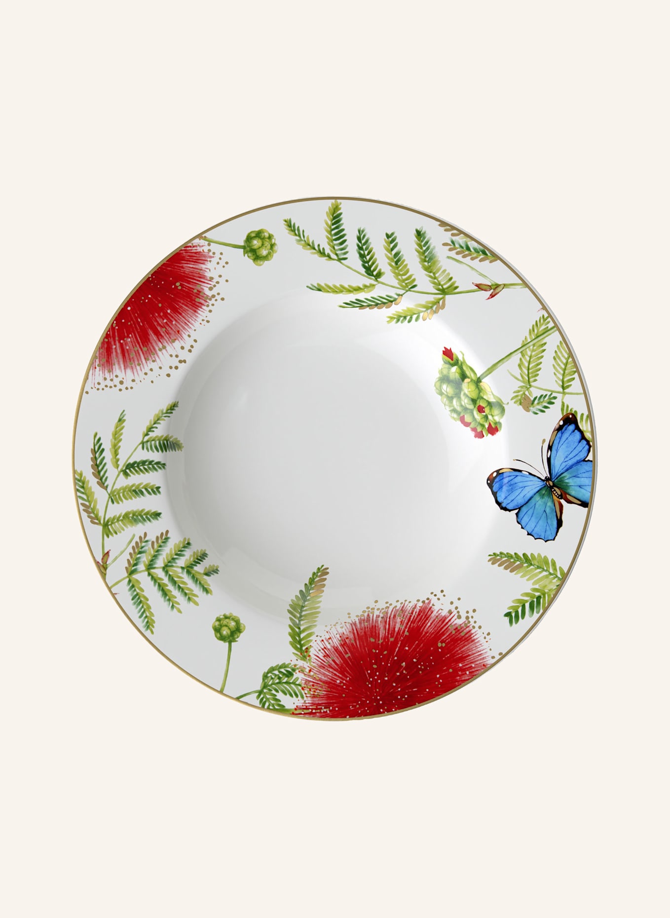 Villeroy & Boch Suppenteller AMAZONIA: GELB/ GRÜN/ BLAU/ ROT