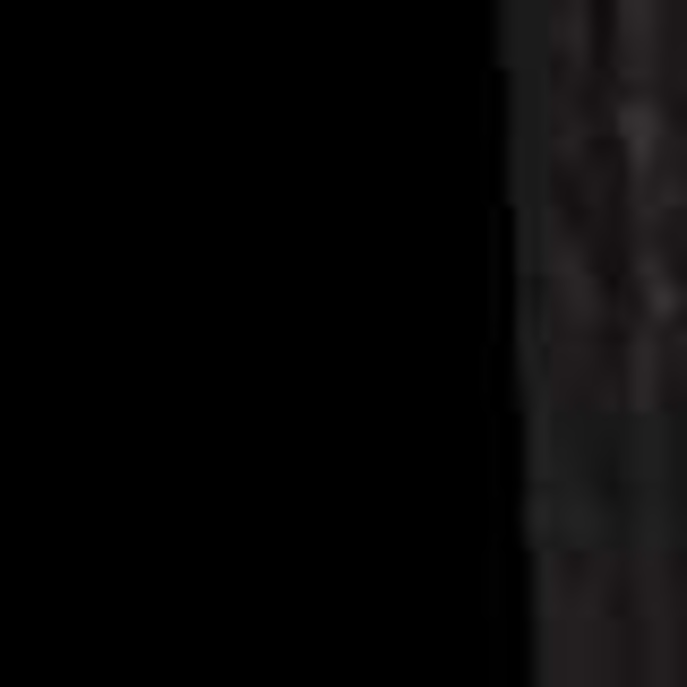 KARL LAGERFELD JEANS Jeans: SCHWARZ