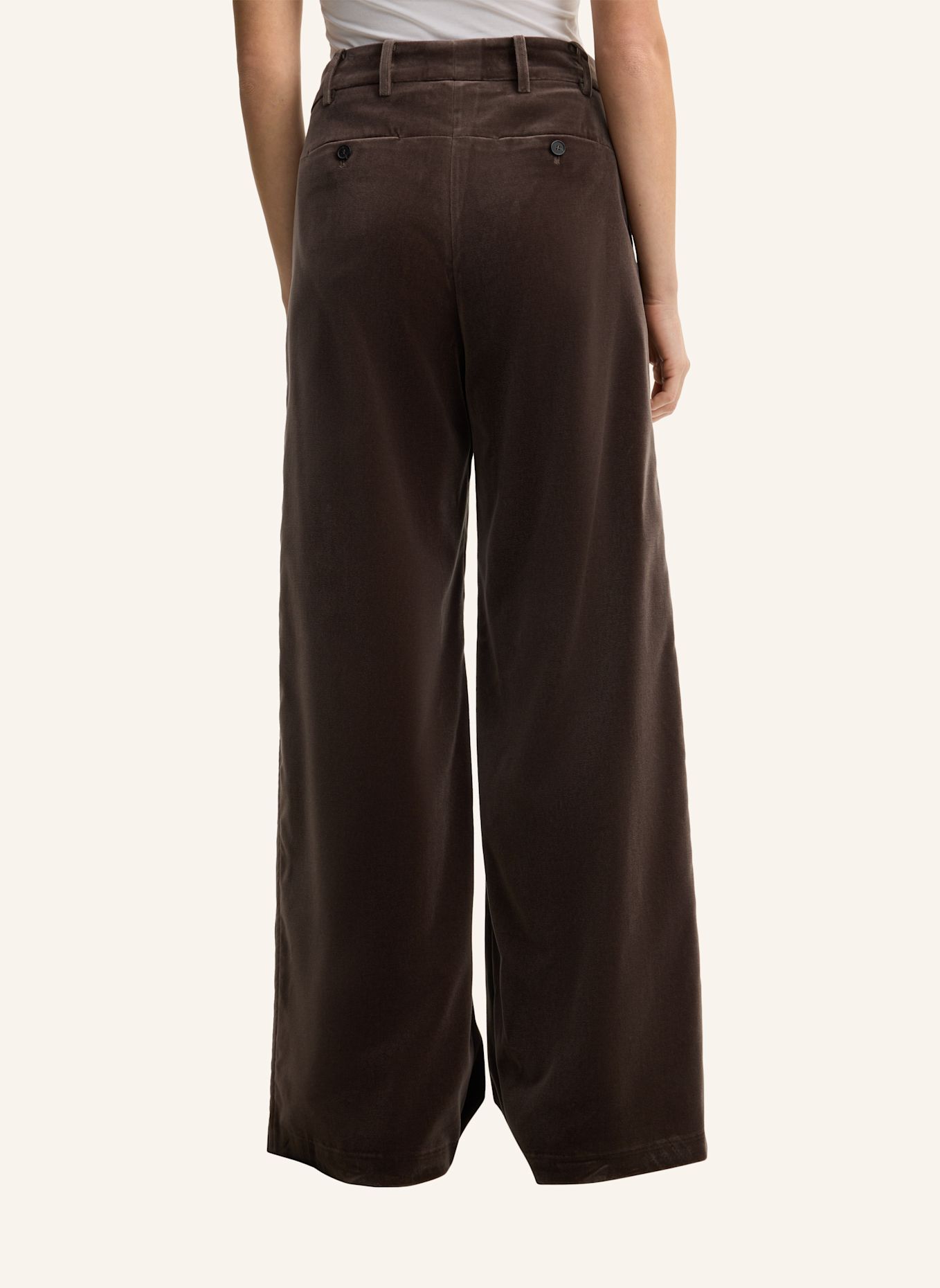 windsor. Stoffhose: TAUPE
