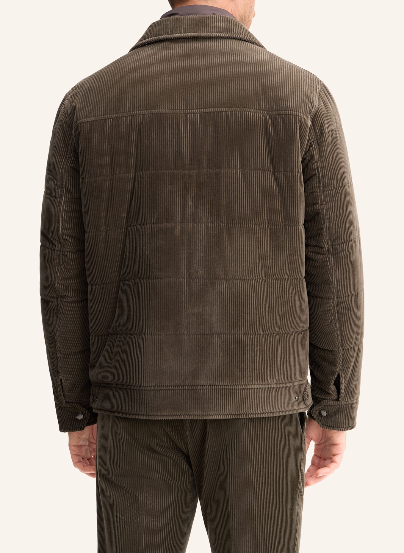windsor. Jacke: GRÜN